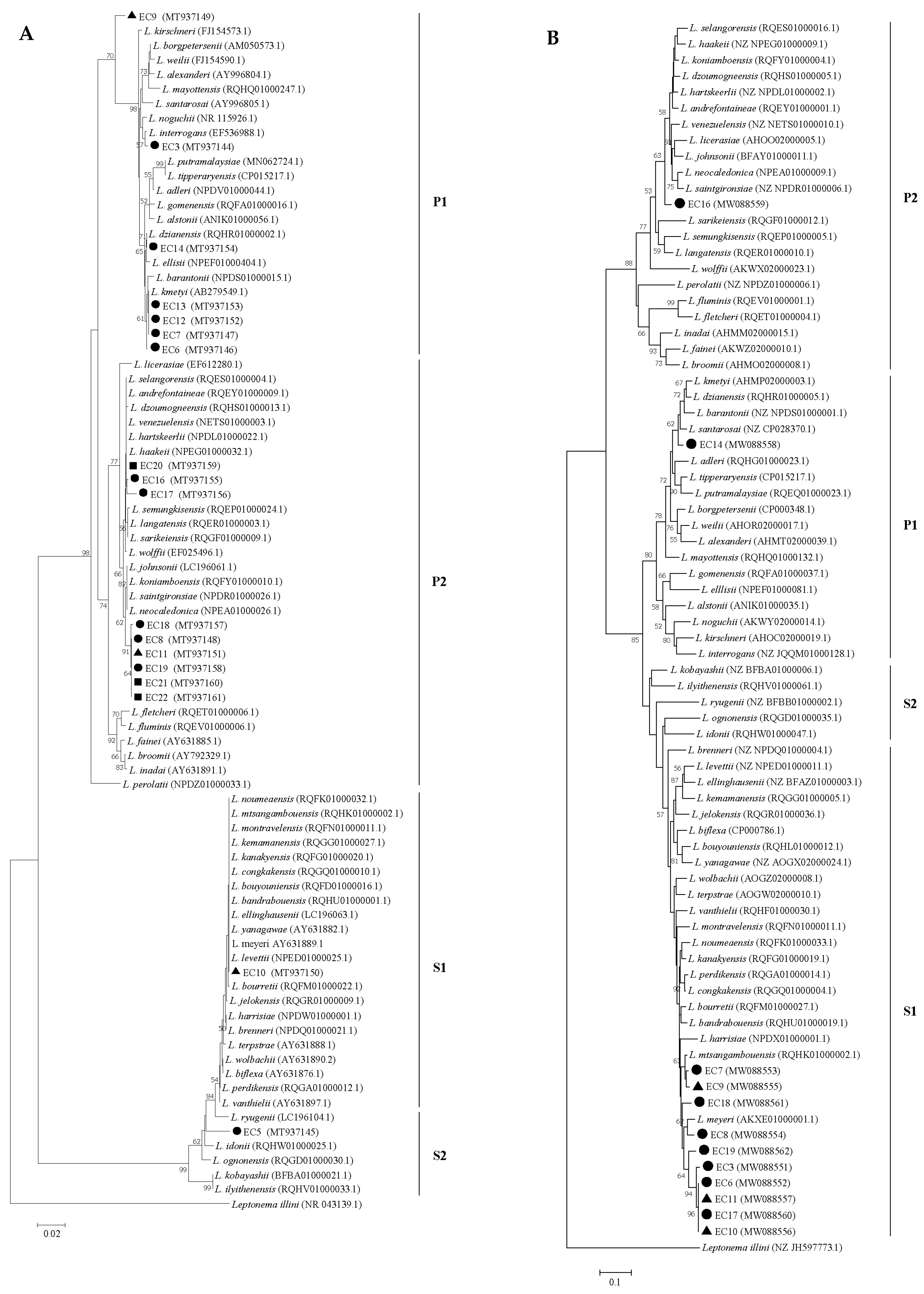 Tropicalmed 05 00183 g002 Tropicalmed 05 00183 g002