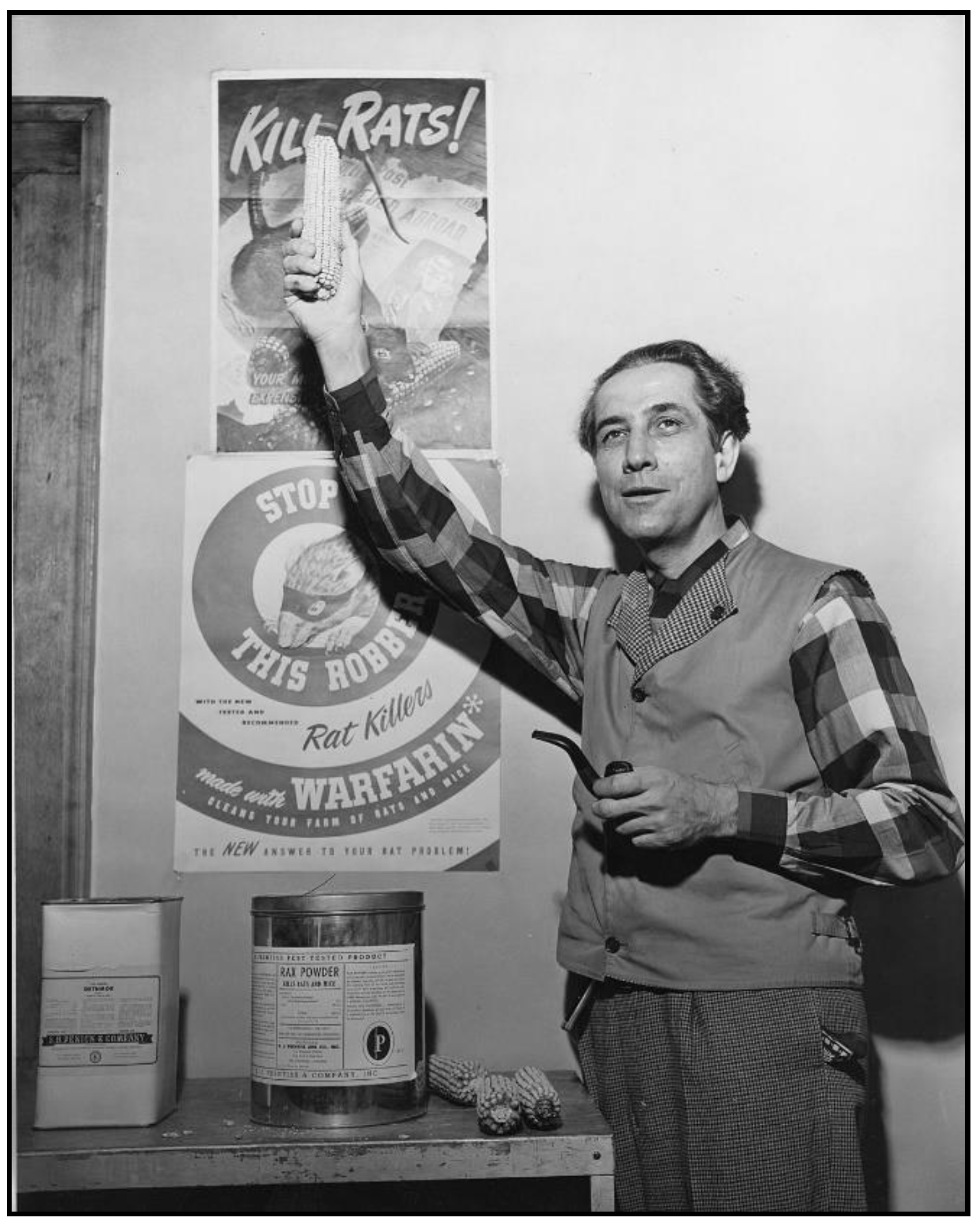 Tropicalmed 06 00002 g005 Tropicalmed 06 00002 g005