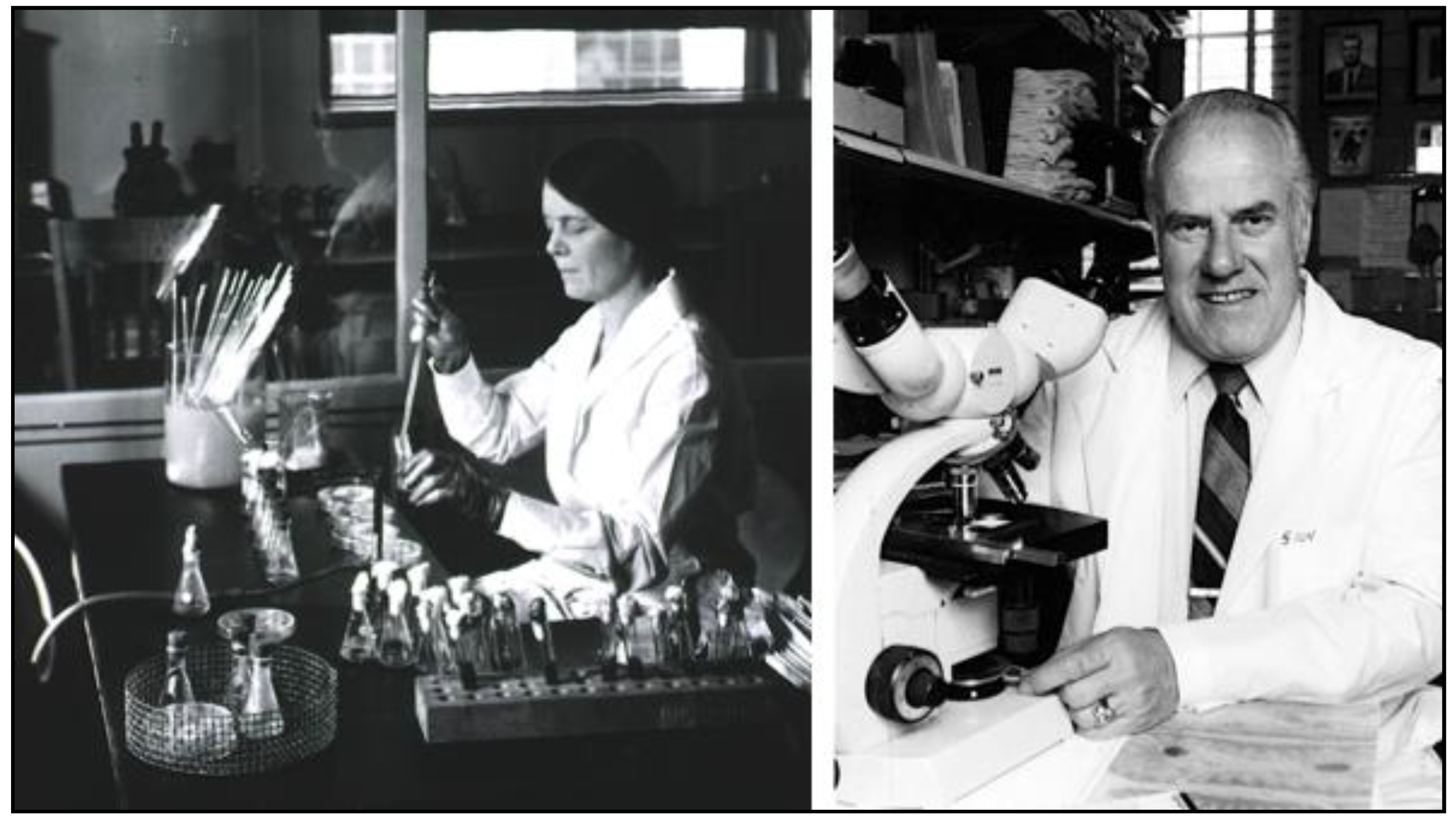 Tropicalmed 06 00002 g008 Tropicalmed 06 00002 g008