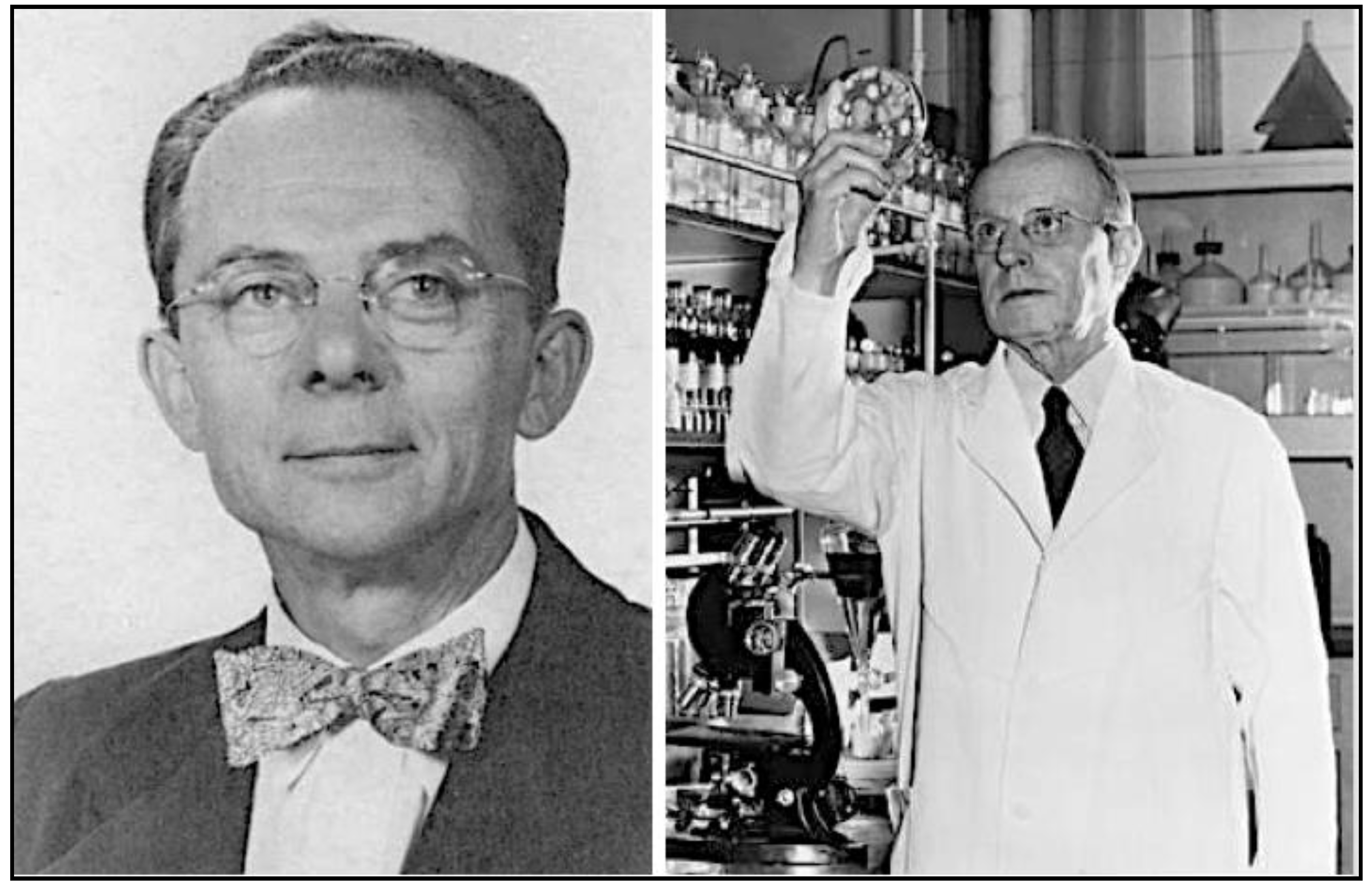 Tropicalmed 06 00002 g009 Tropicalmed 06 00002 g009