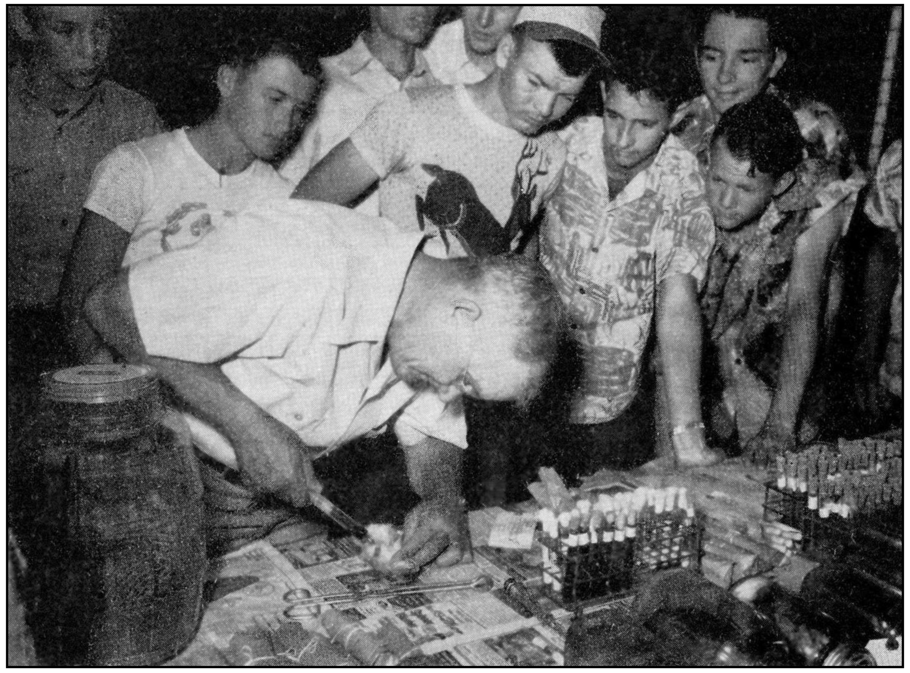 Tropicalmed 06 00002 g013 Tropicalmed 06 00002 g013