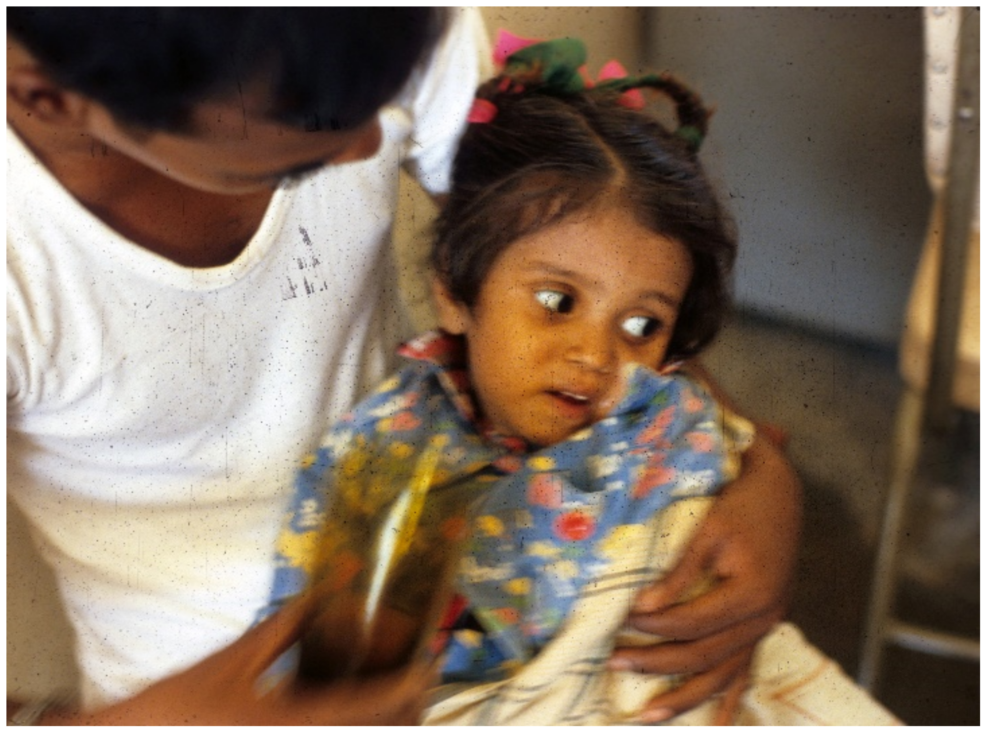 Tropicalmed 06 00034 g005