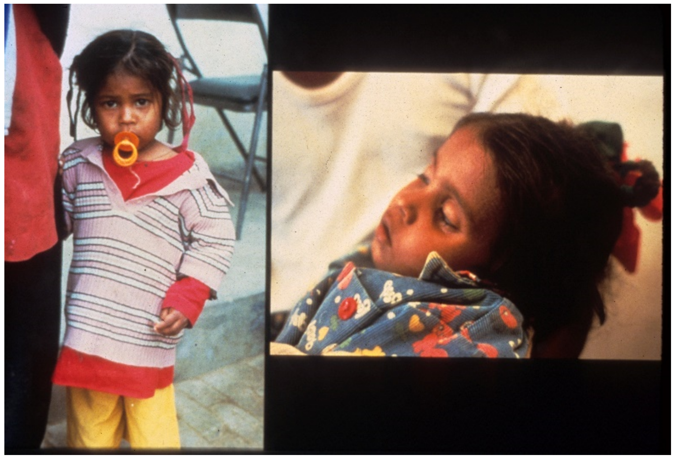 Tropicalmed 06 00034 g006