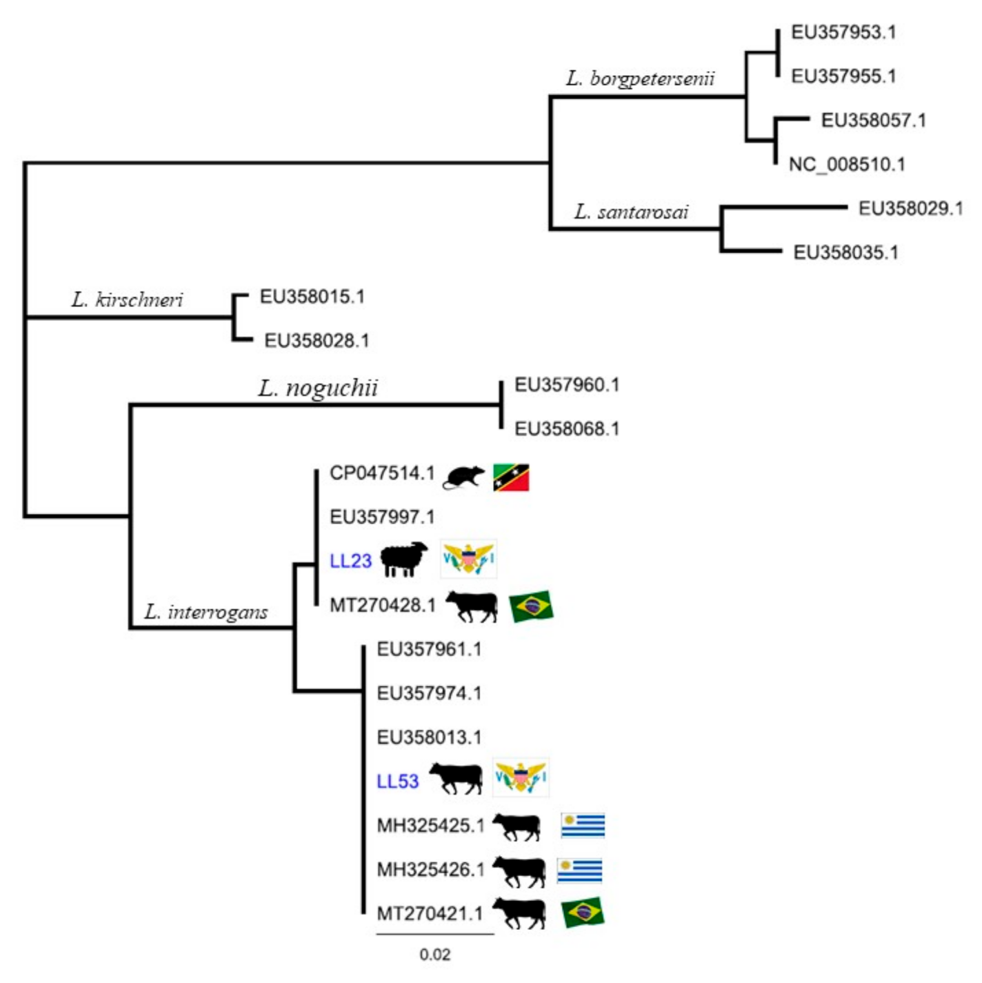 Tropicalmed 06 00085 g001 Tropicalmed 06 00085 g001