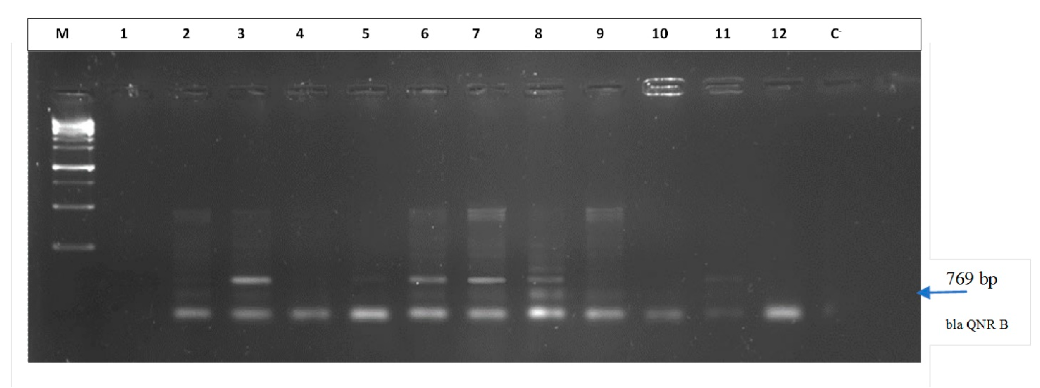 Tropicalmed 06 00090 g002 Tropicalmed 06 00090 g002