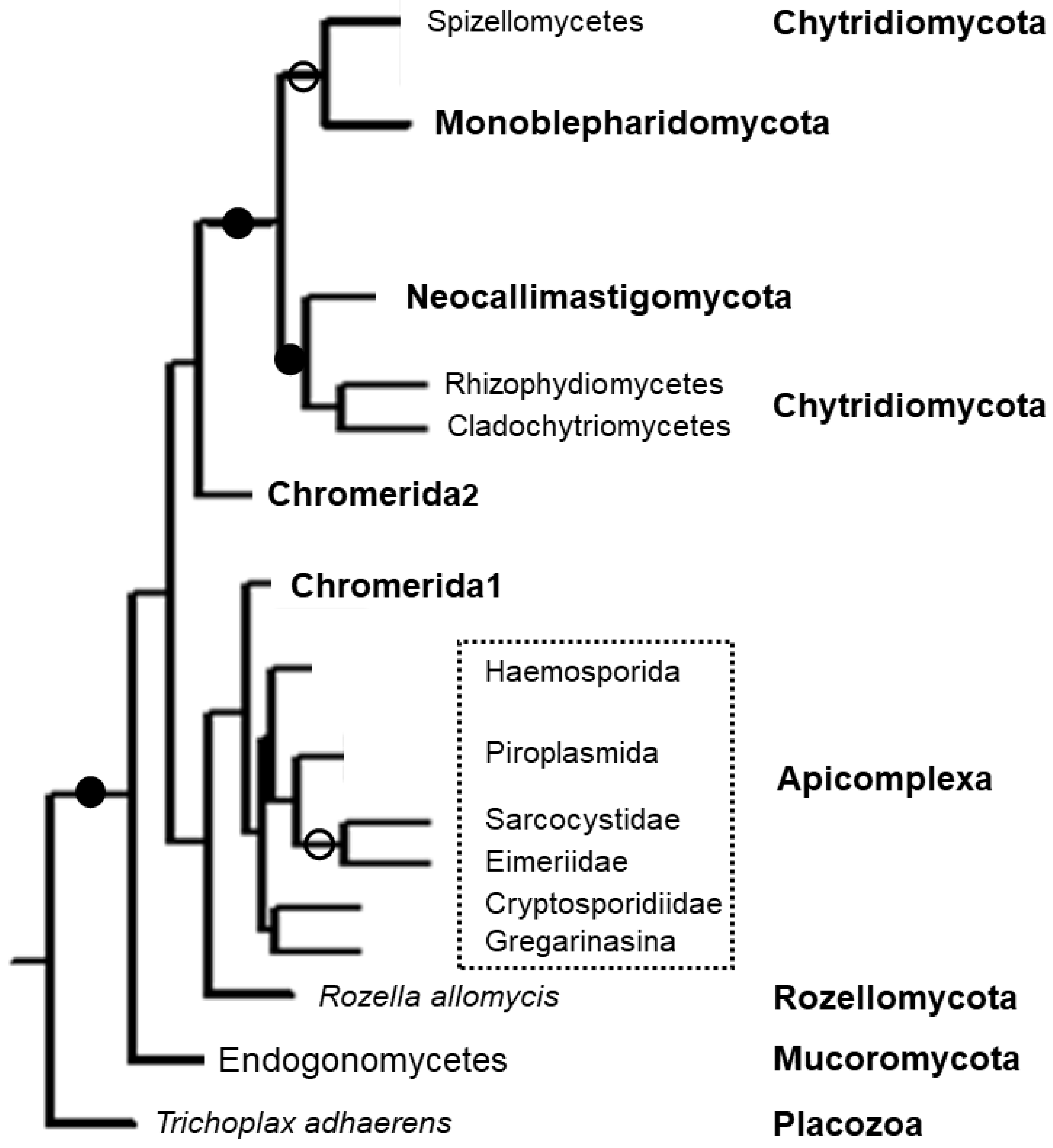 Tropicalmed 06 00118 g003 Tropicalmed 06 00118 g003