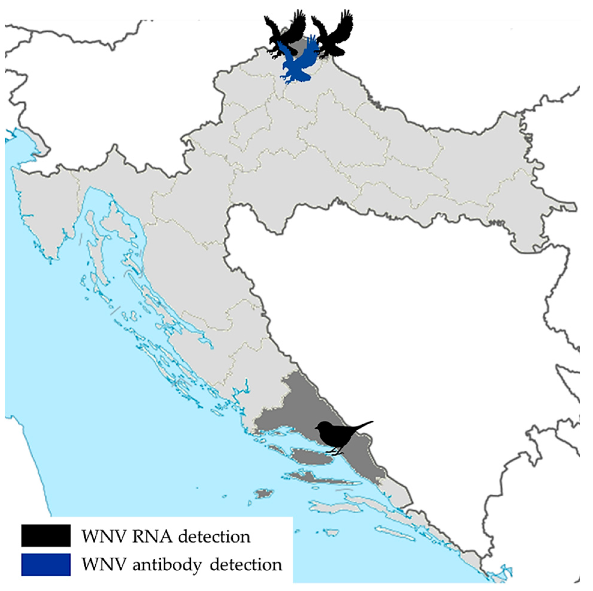 Tropicalmed 06 00140 g004