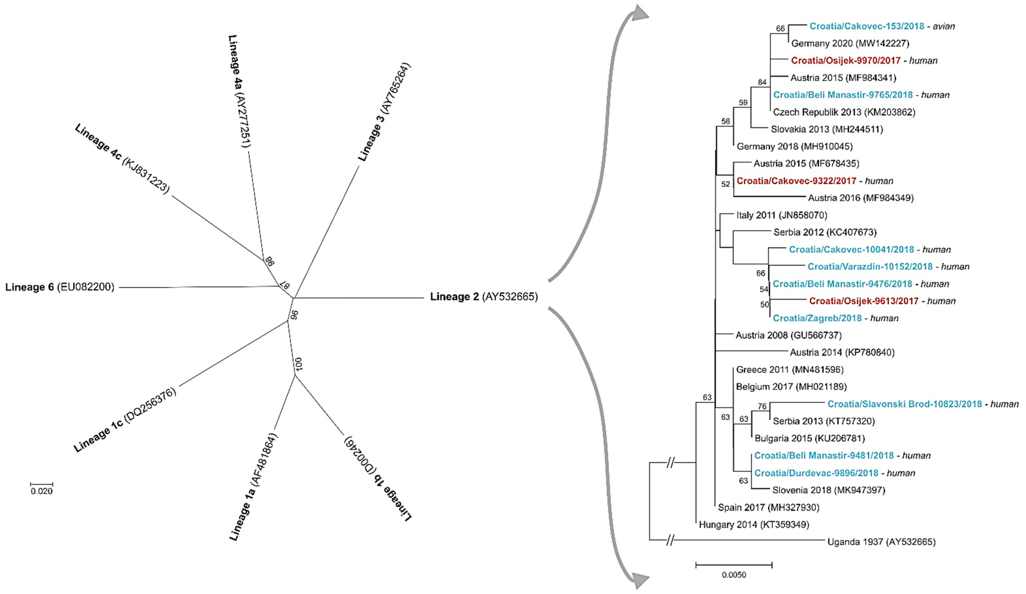 Tropicalmed 06 00140 g007