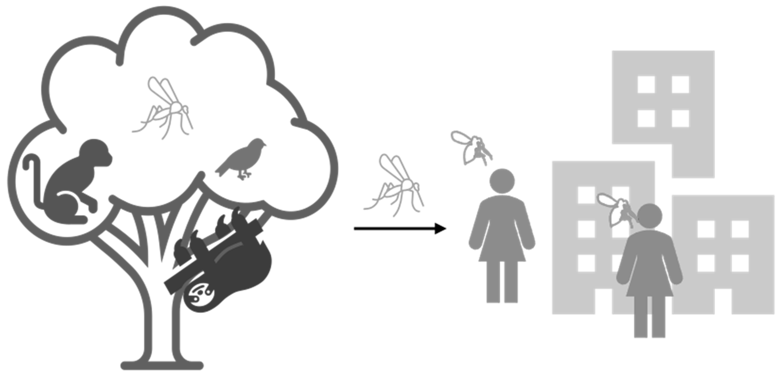 Tropicalmed 06 00143 g001 Tropicalmed 06 00143 g001