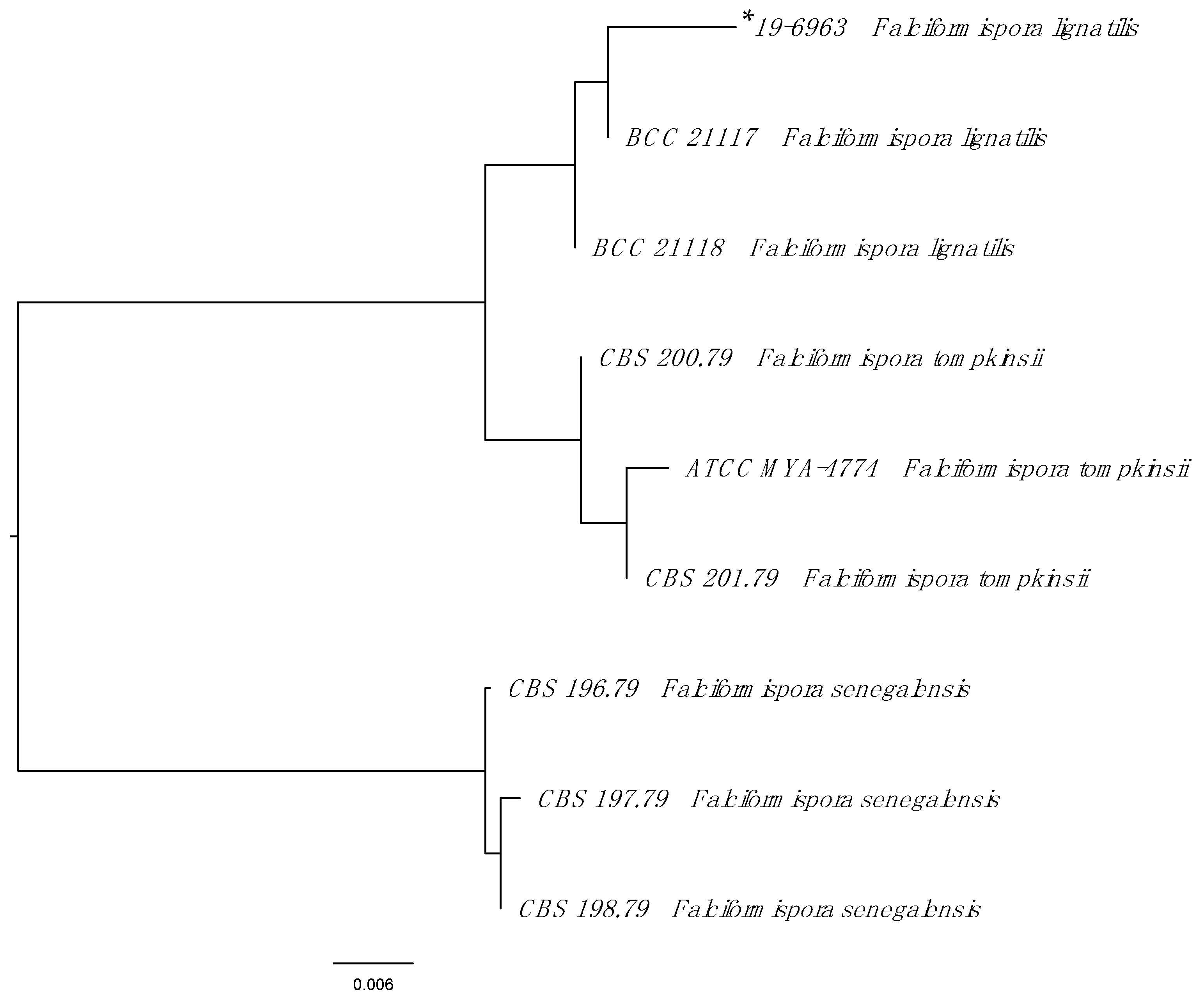Tropicalmed 06 00144 g002