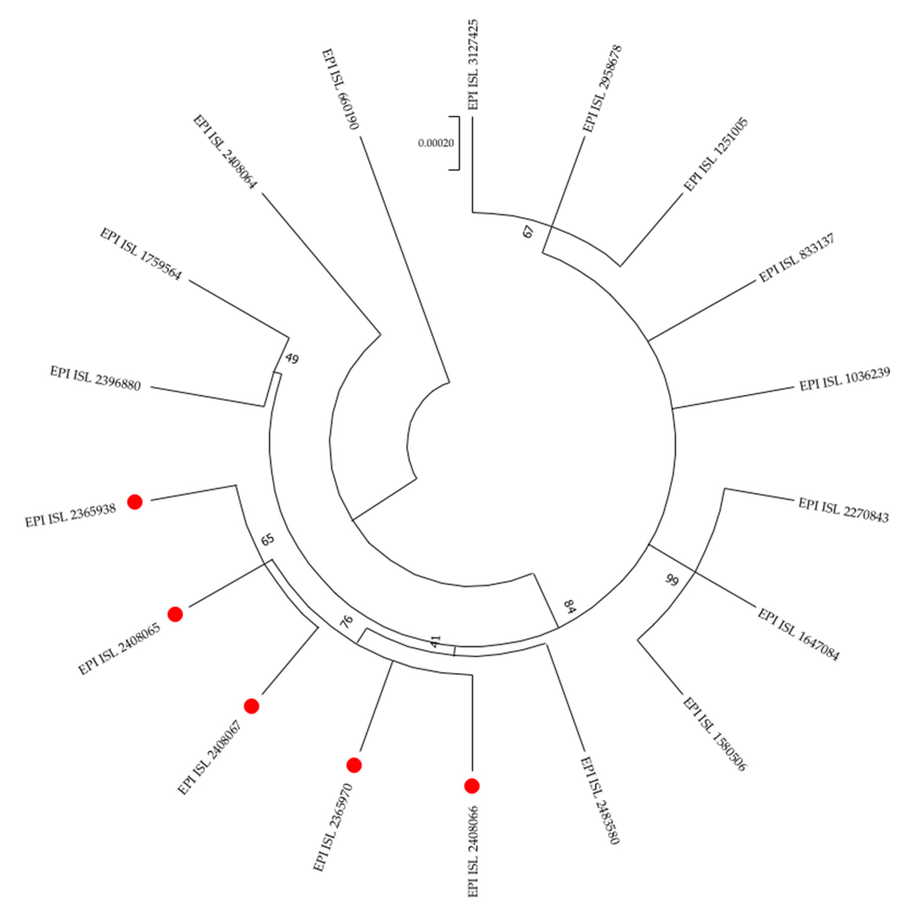 Tropicalmed 06 00151 g001 550
