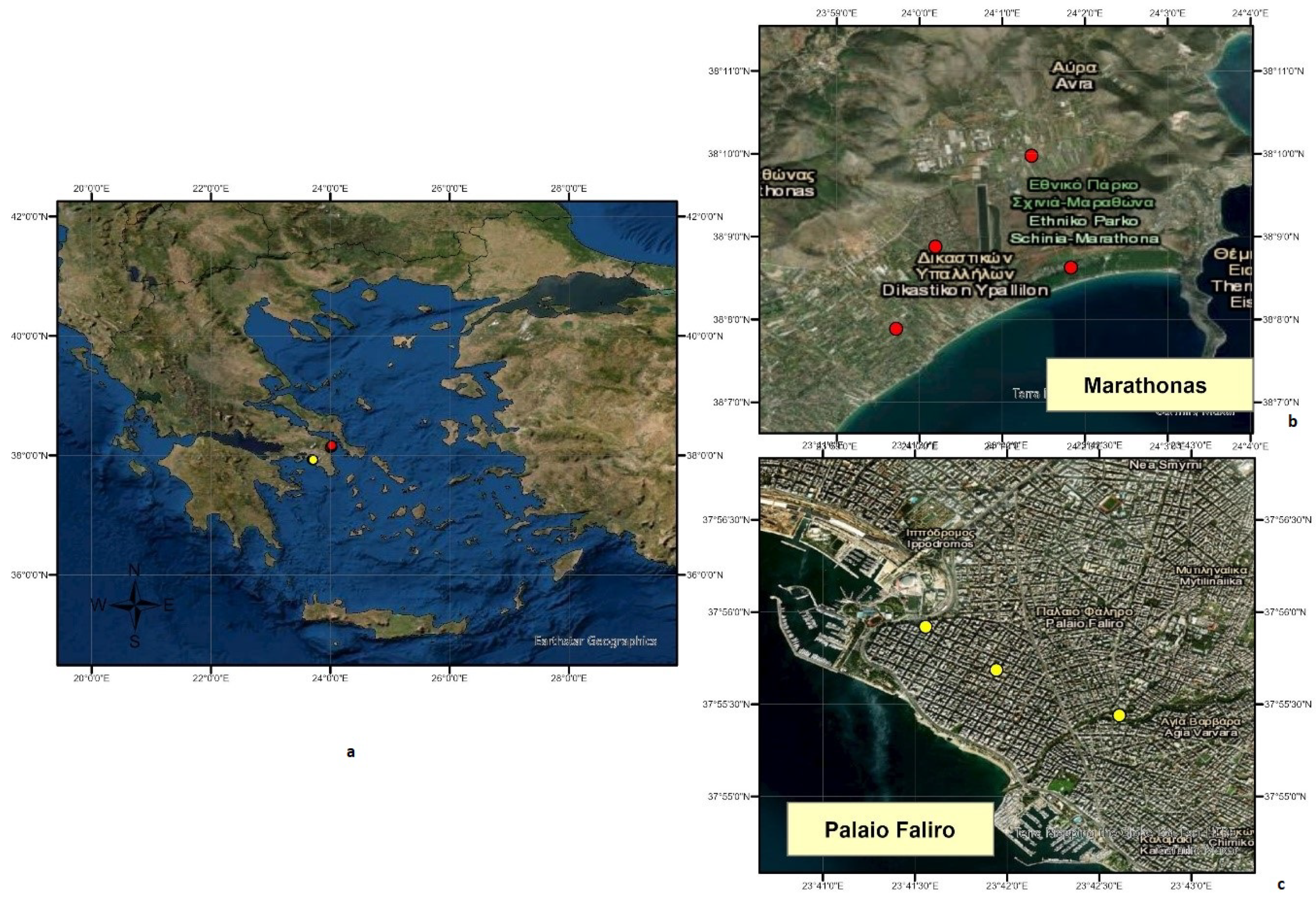 Tropicalmed 06 00176 g001 550
