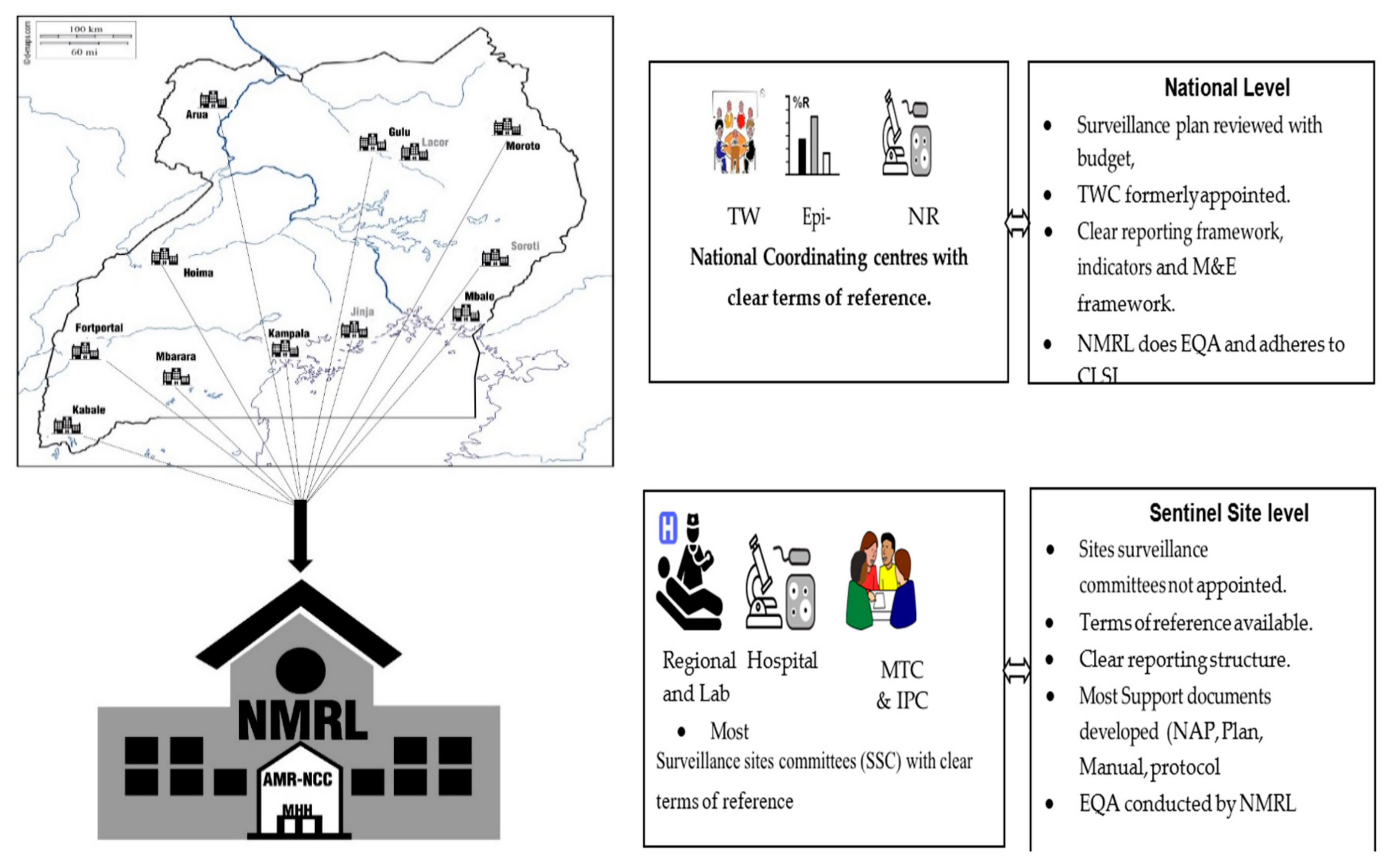 Tropicalmed 06 00178 g002 550