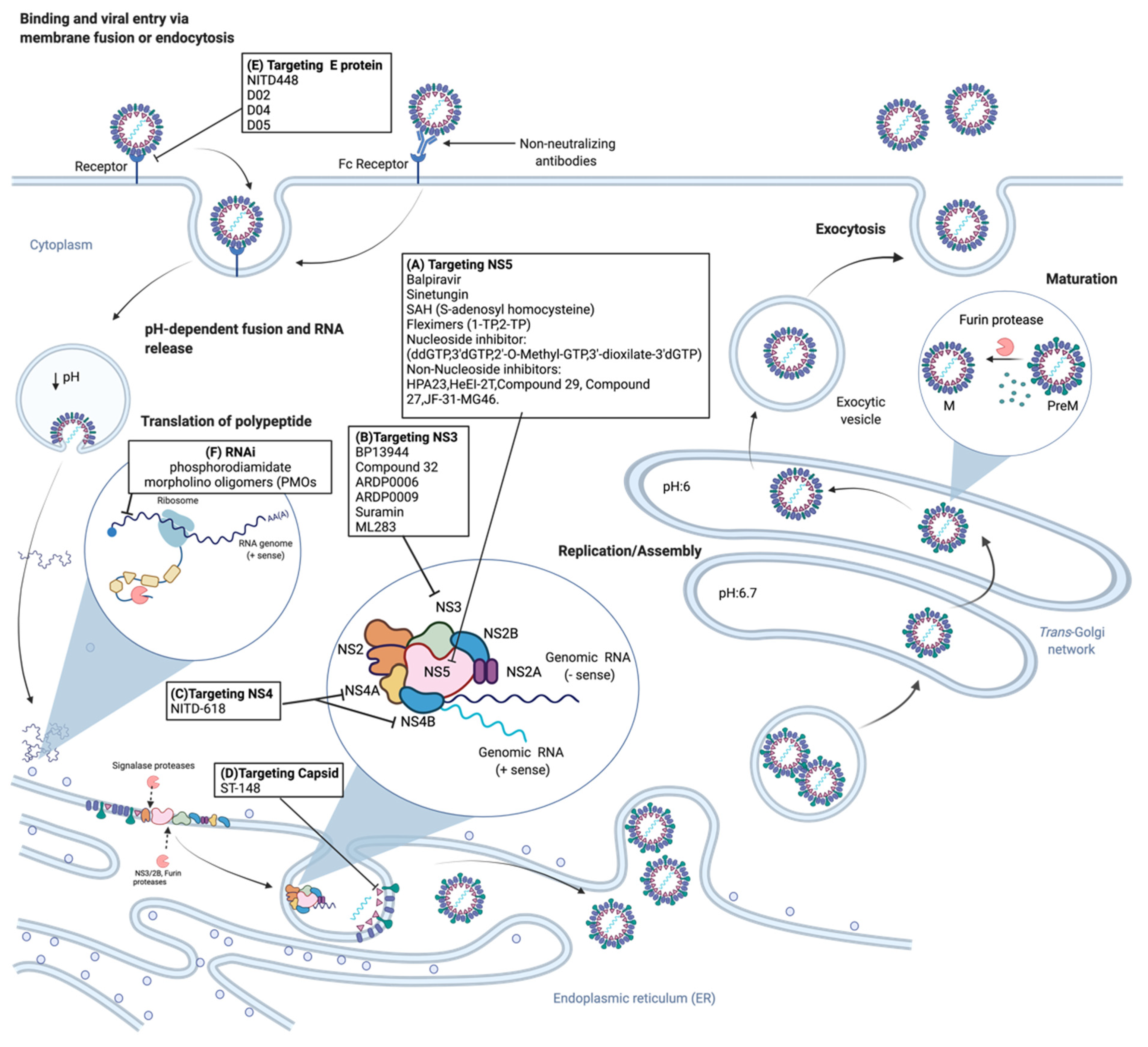Tropicalmed 06 00180 g002 Tropicalmed 06 00180 g002