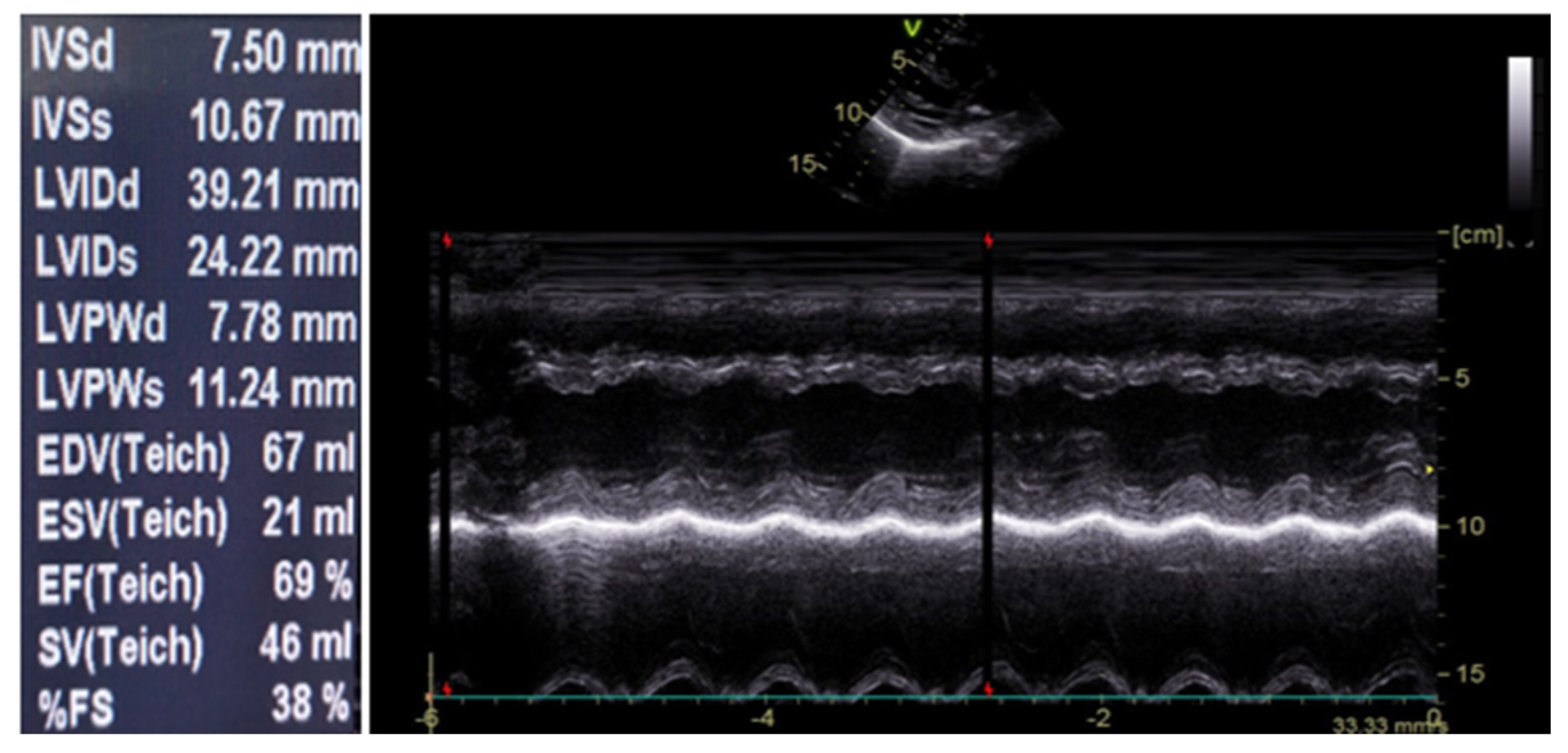 Tropicalmed 06 00212 g002
