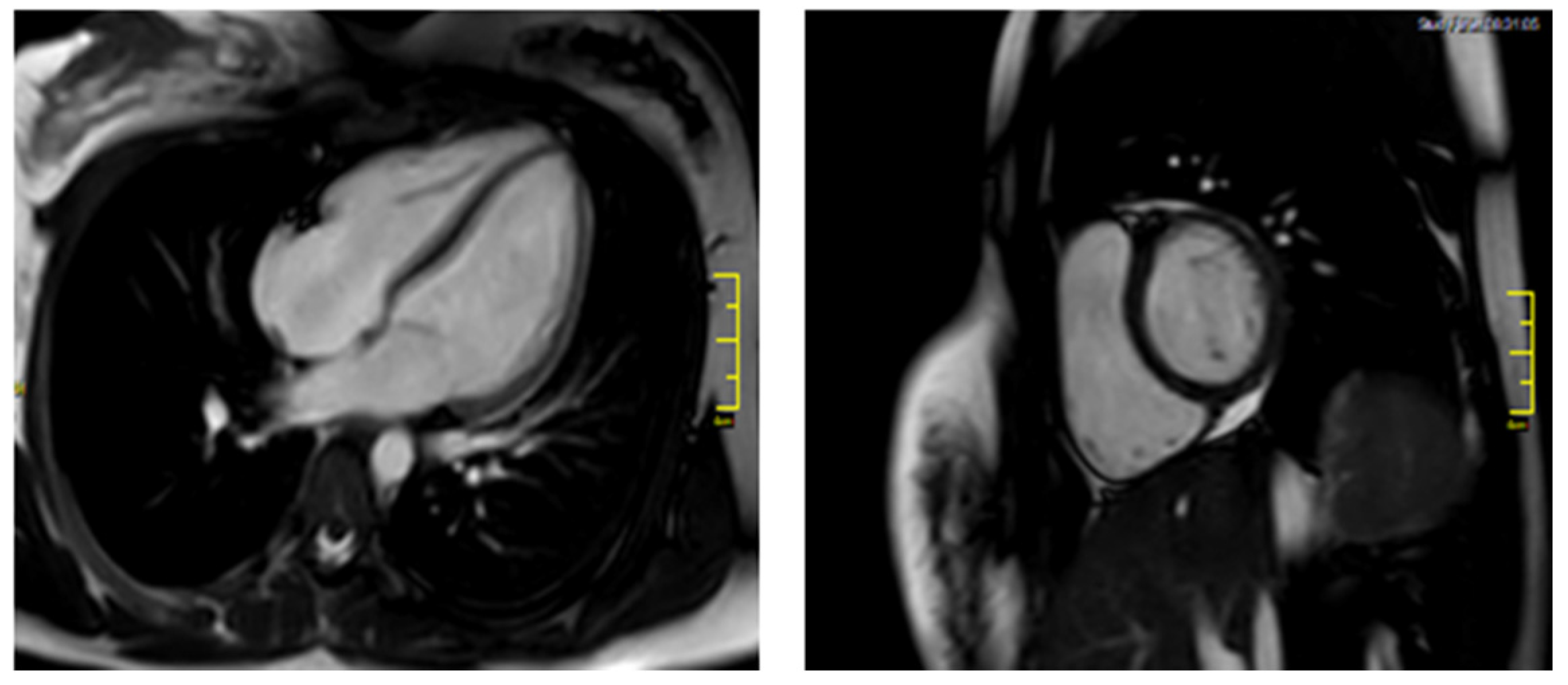 Tropicalmed 06 00212 g003
