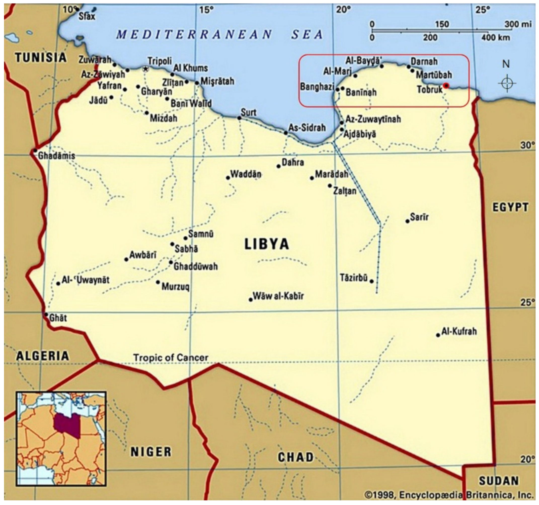 На каком материке находится ливия. Ливия политическая карта. Карта Ливии 2023. Ливия столица на карте. Карта Ливии 2022 политическая.
