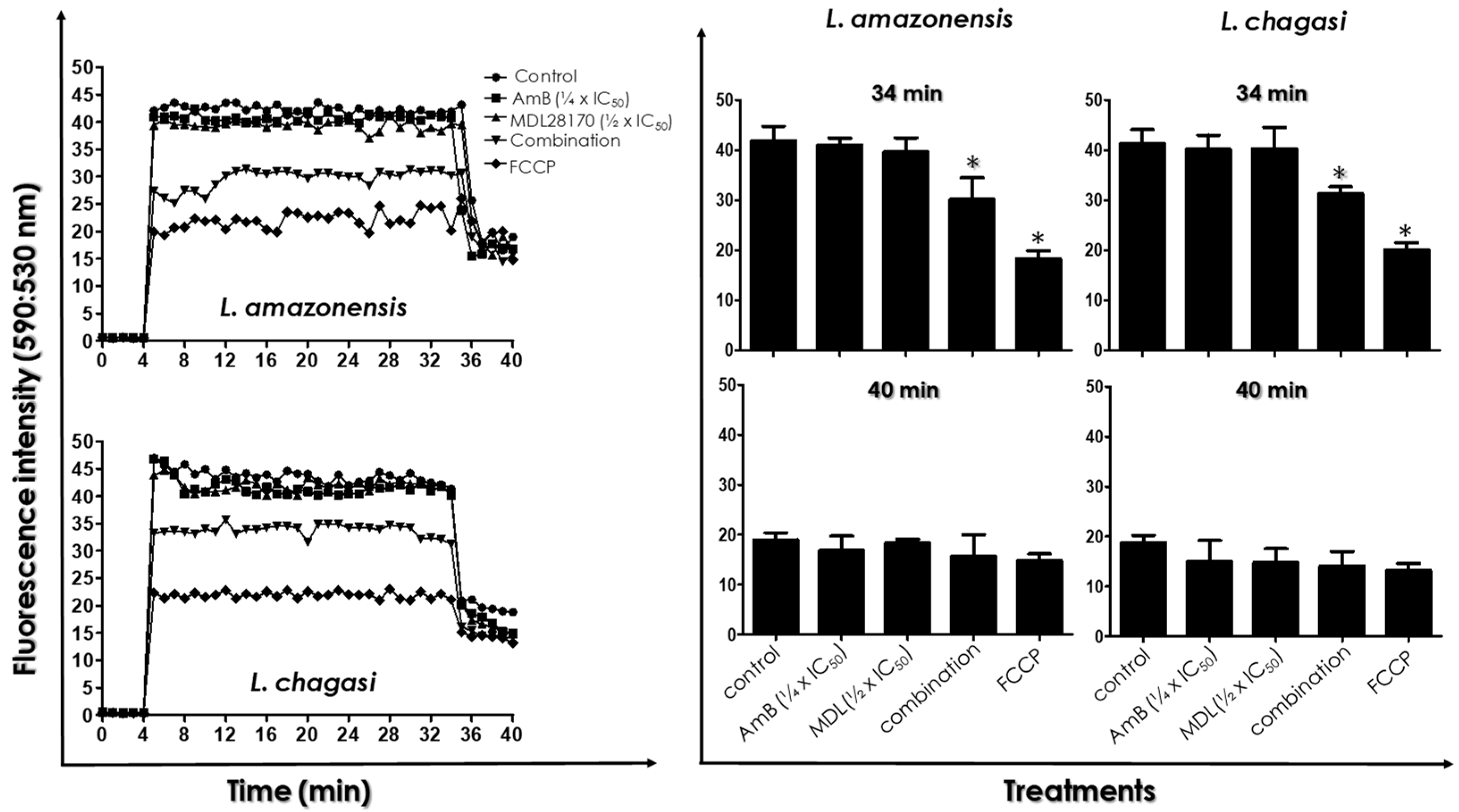 Tropicalmed 07 00029 g004 Tropicalmed 07 00029 g004