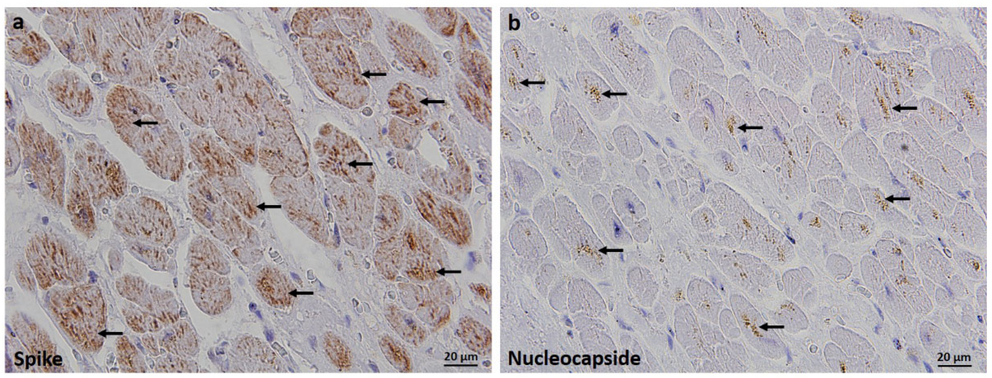 Tropicalmed 07 00043 g001 550