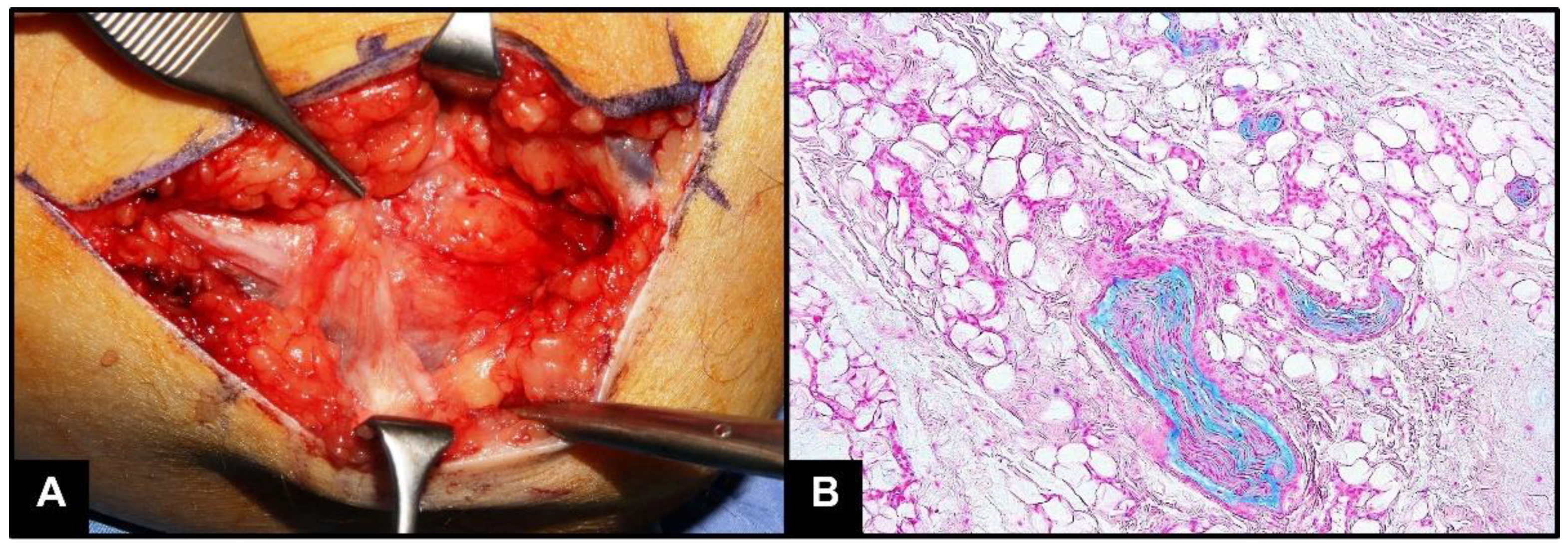 Tropicalmed 07 00062 g001