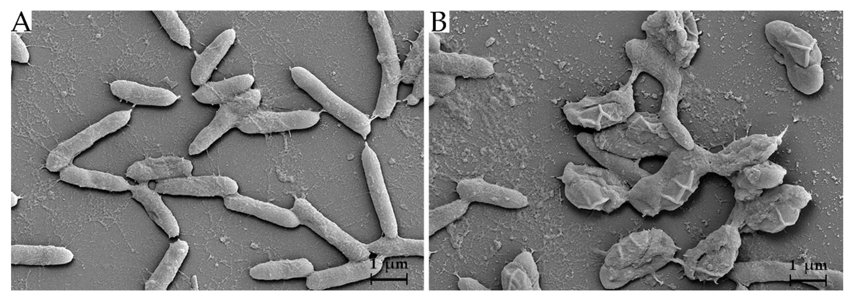 Tropicalmed 07 00093 g001