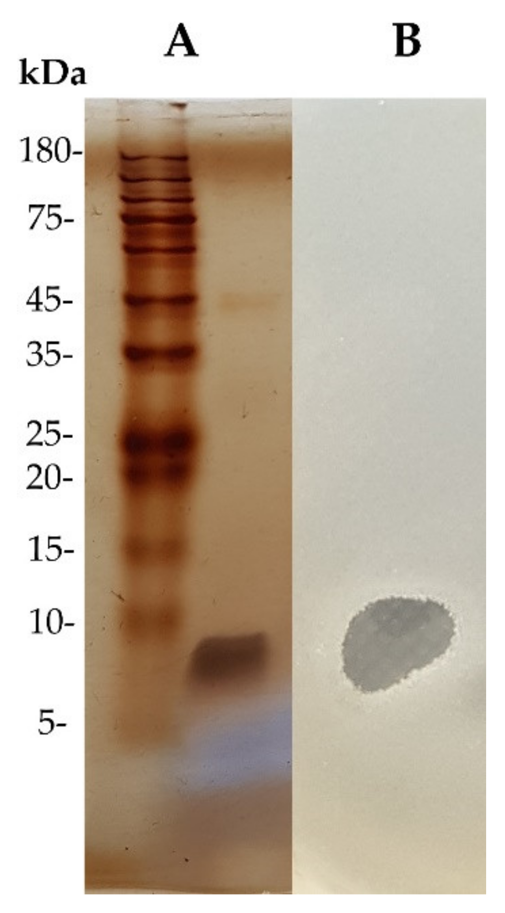 Tropicalmed 07 00093 g005