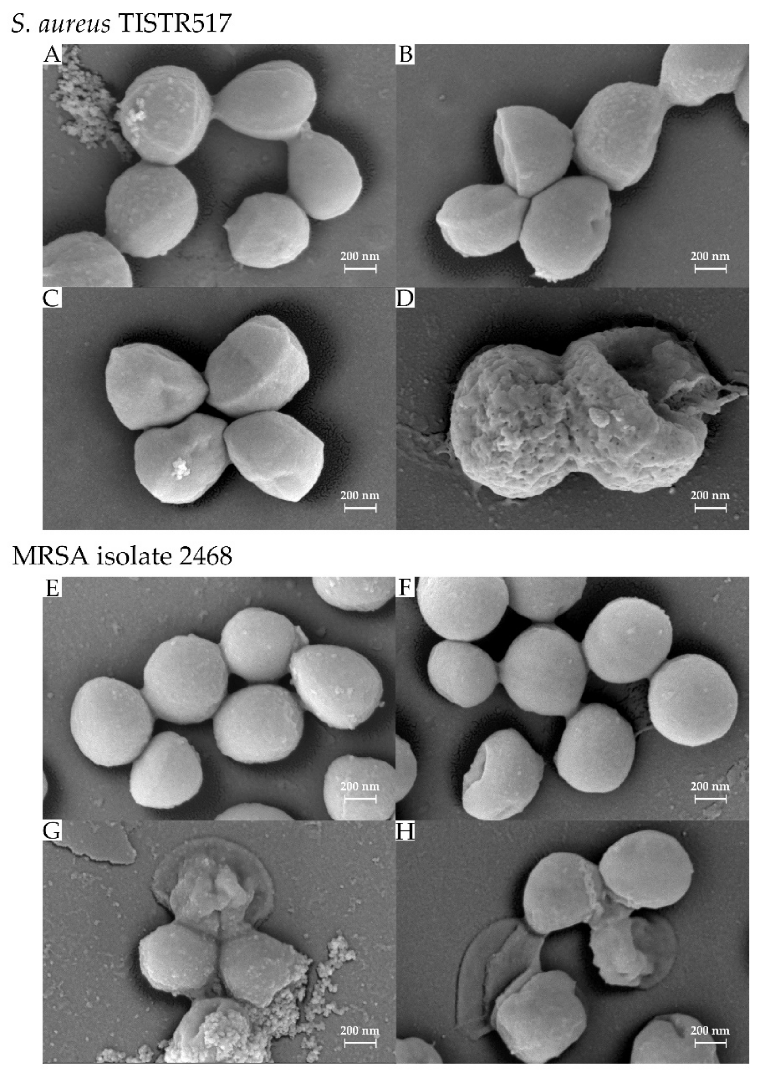 Tropicalmed 07 00093 g006