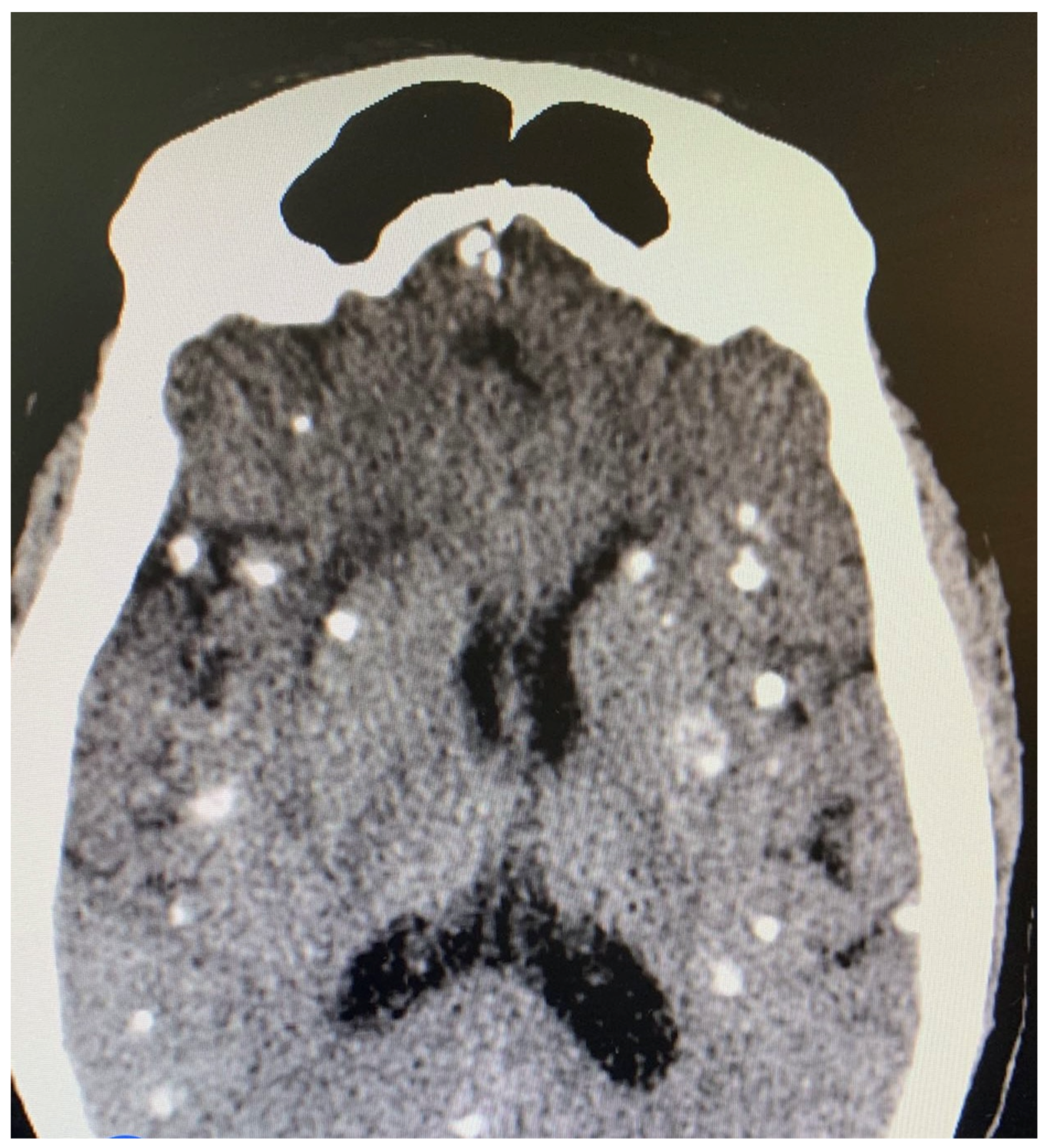 Tropicalmed 07 00096 g002 550