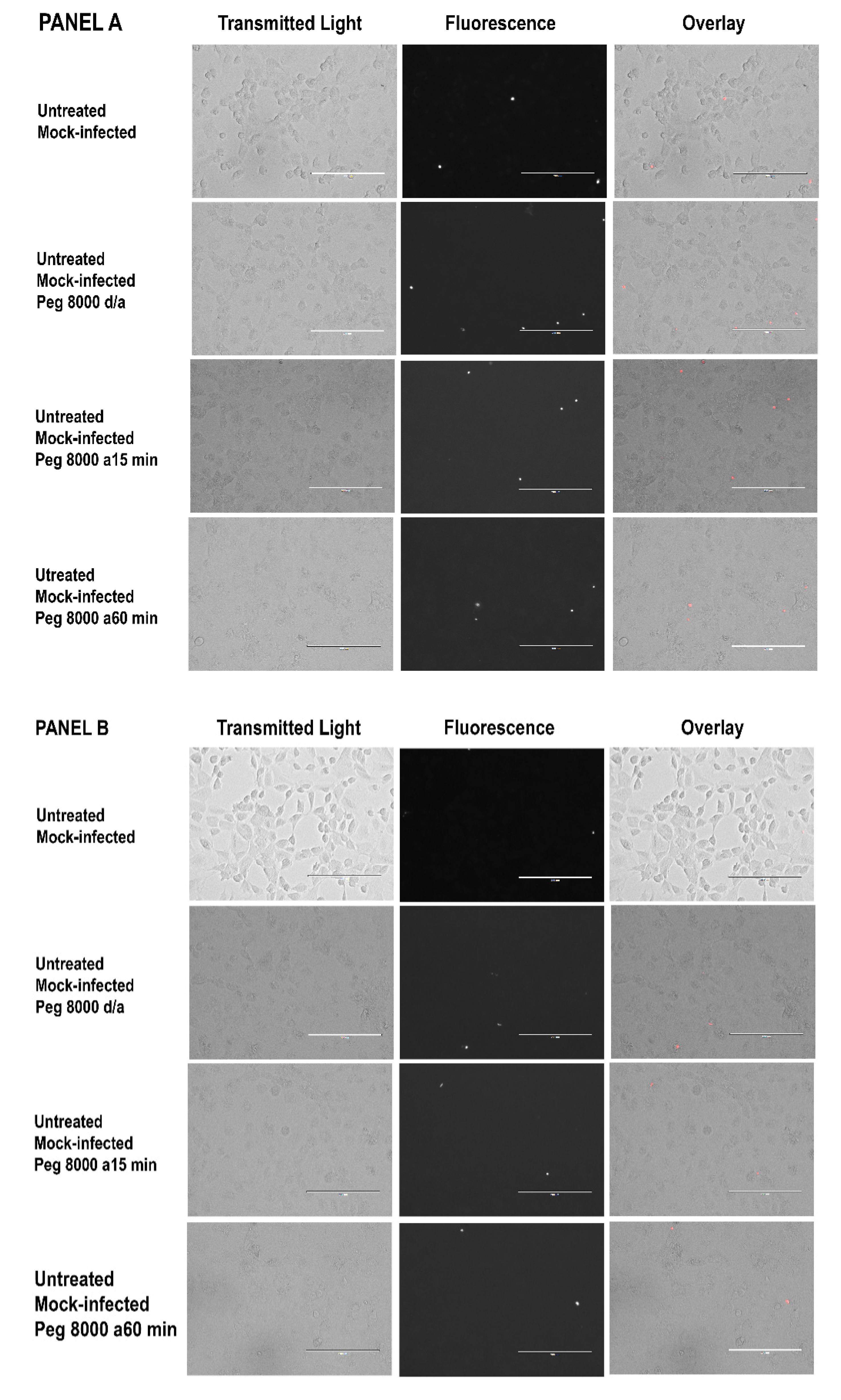 Tropicalmed 07 00163 g005a Tropicalmed 07 00163 g005a