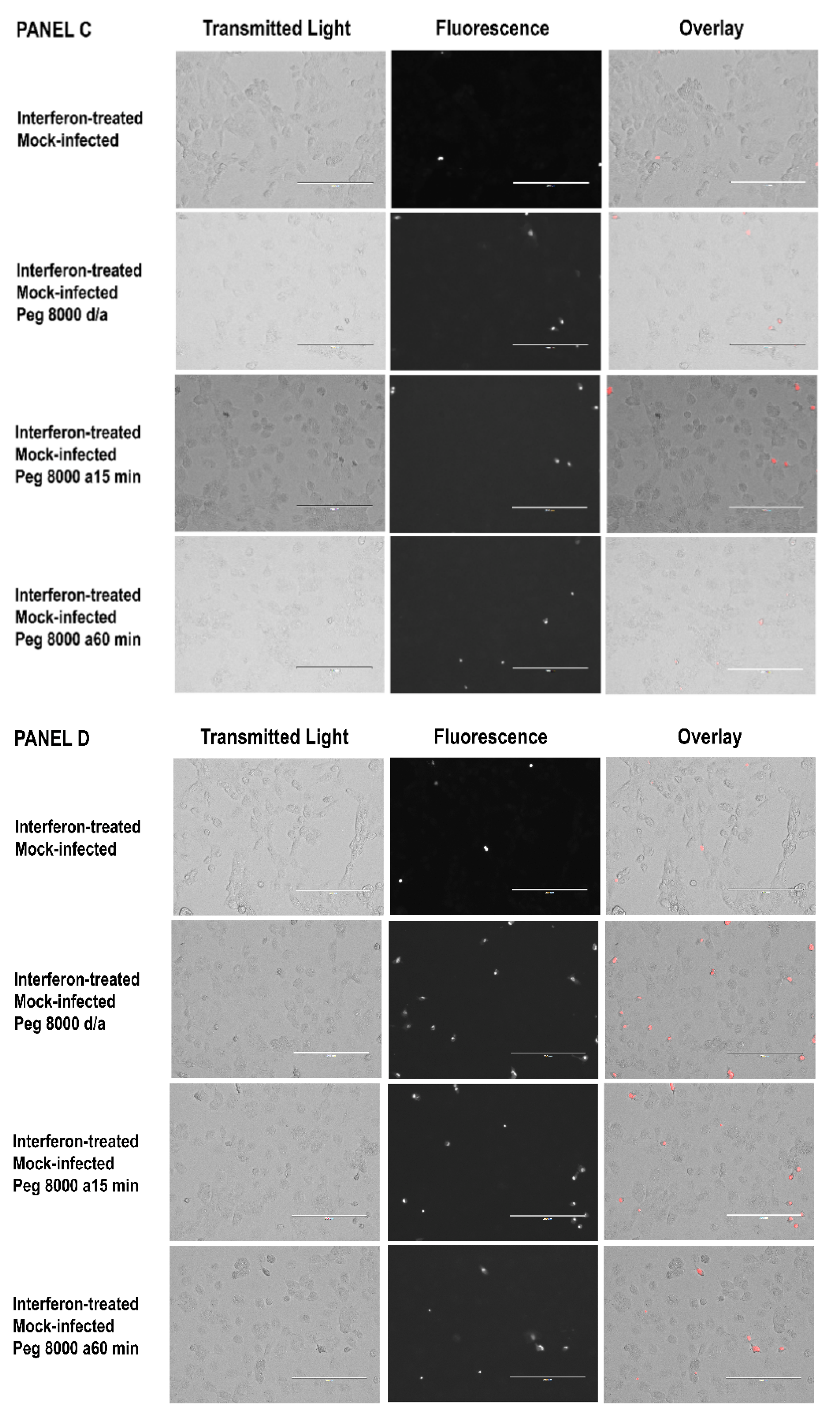 Tropicalmed 07 00163 g005b Tropicalmed 07 00163 g005b
