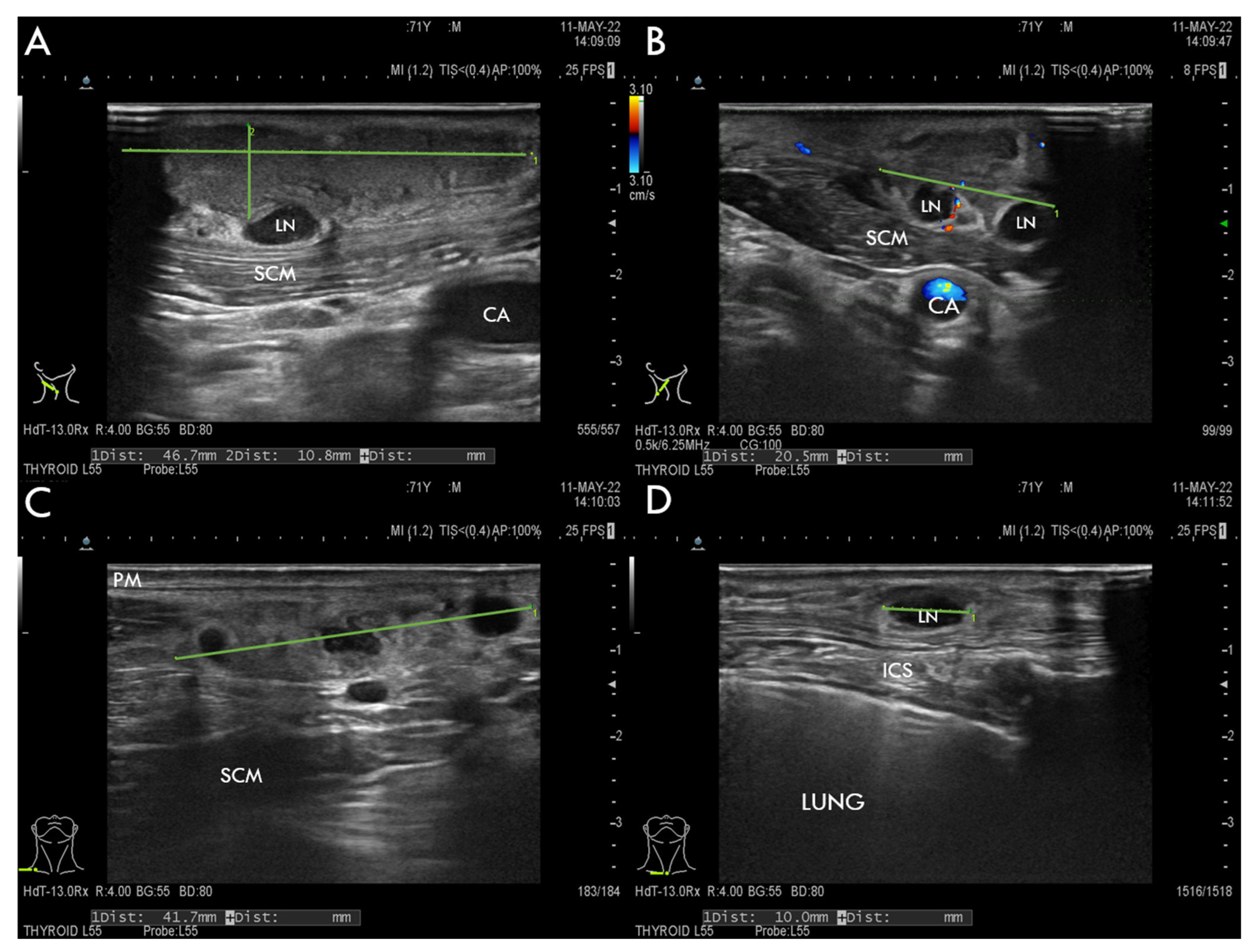 Tropicalmed 07 00189 g001 Tropicalmed 07 00189 g001