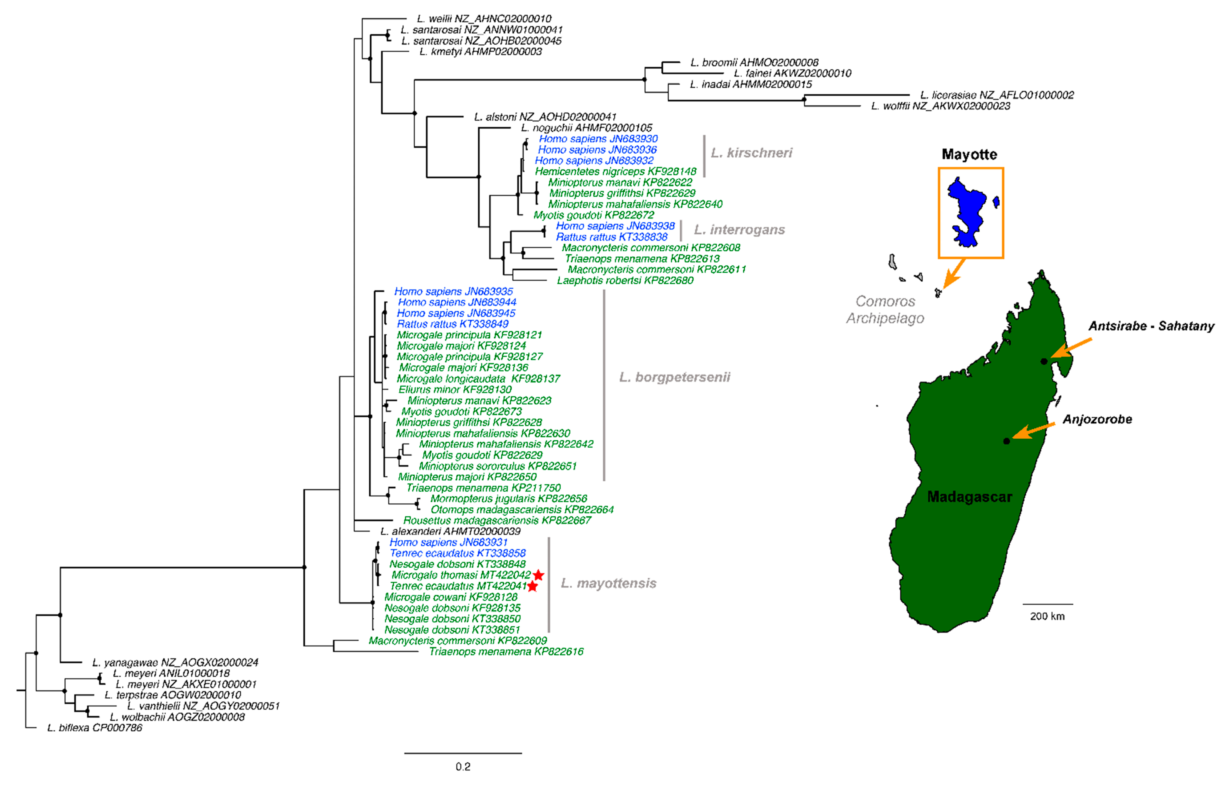 Tropicalmed 07 00193 g001 Tropicalmed 07 00193 g001