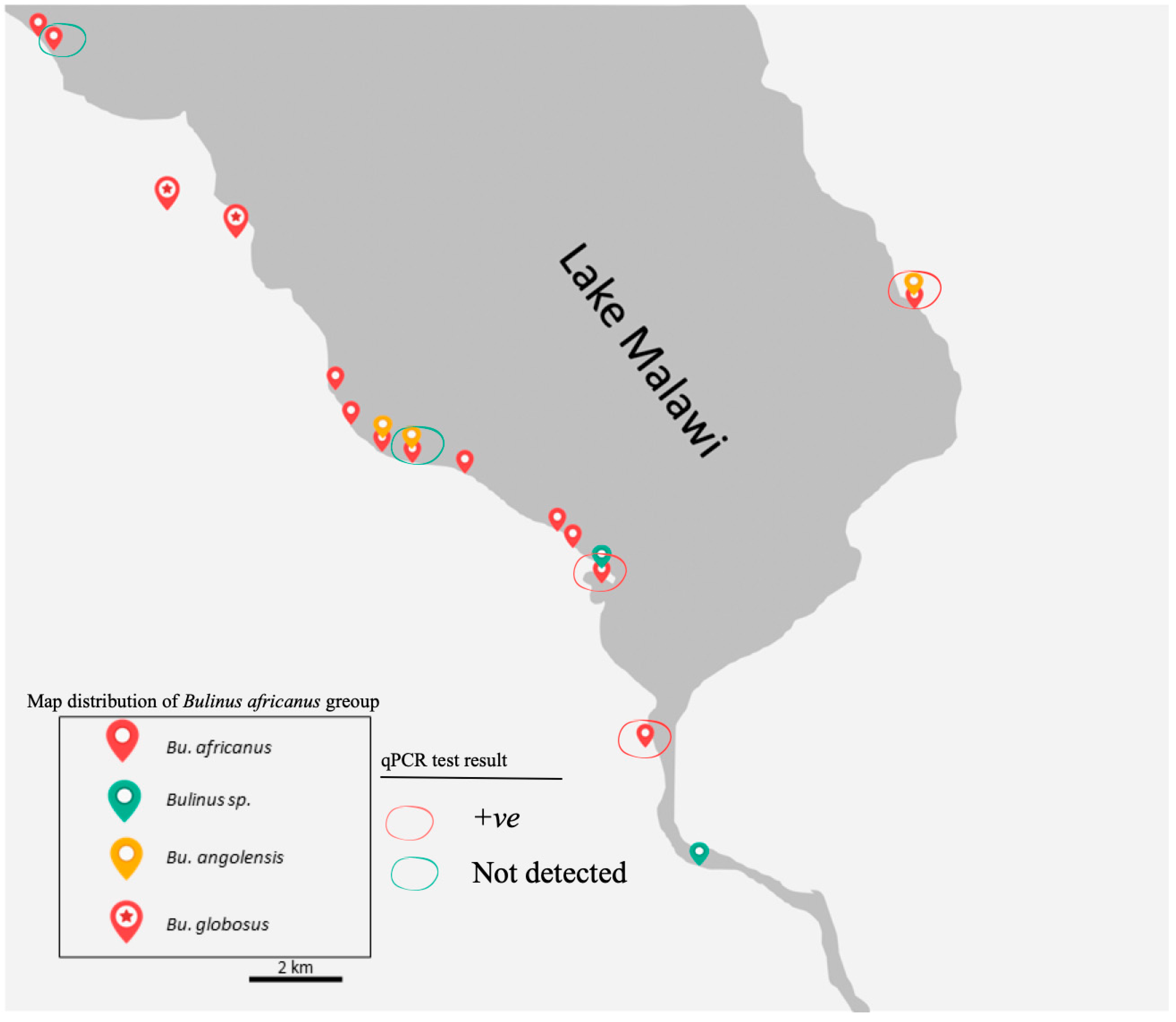 Tropicalmed 07 00195 g004 550