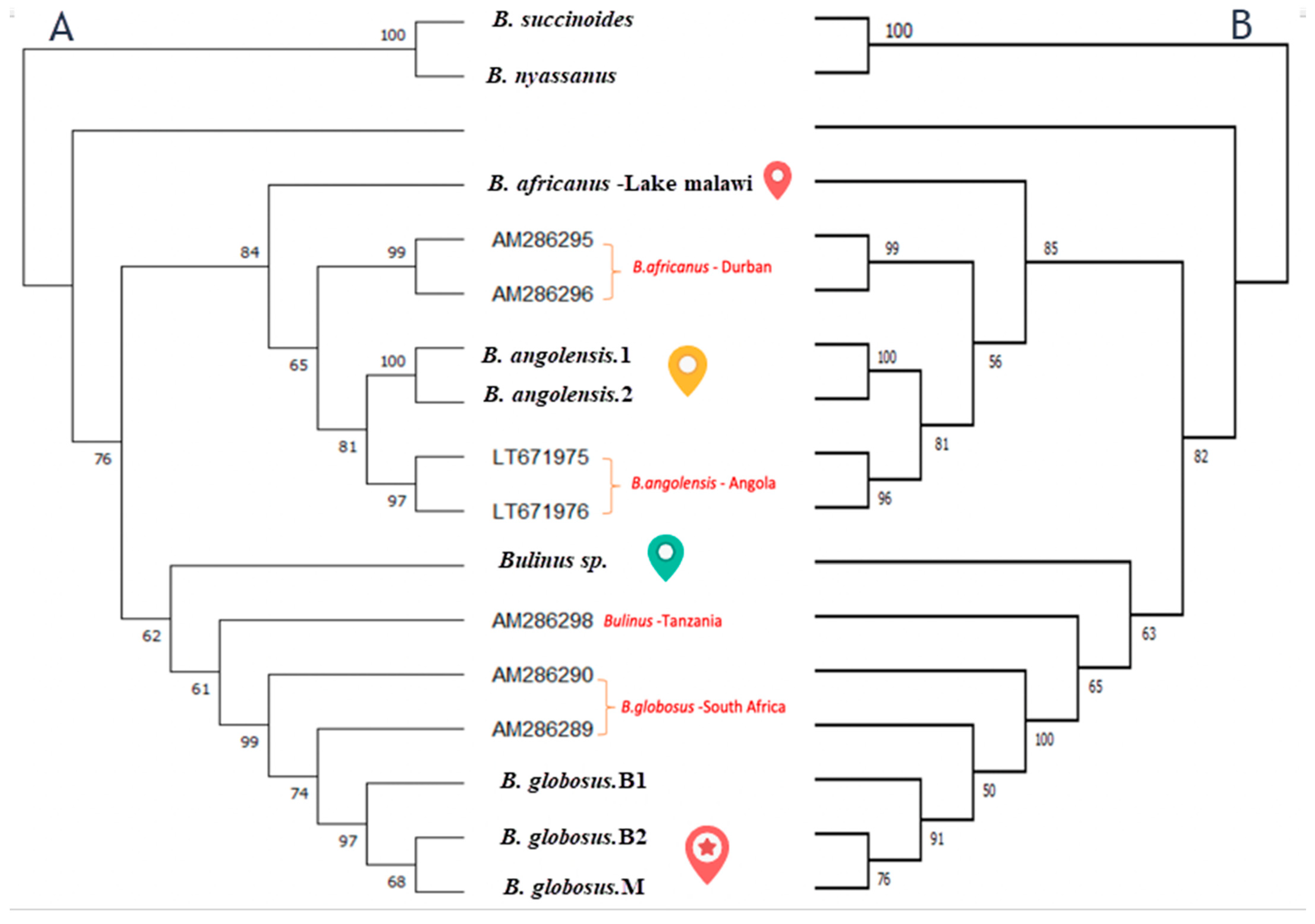 Tropicalmed 07 00195 g005 550