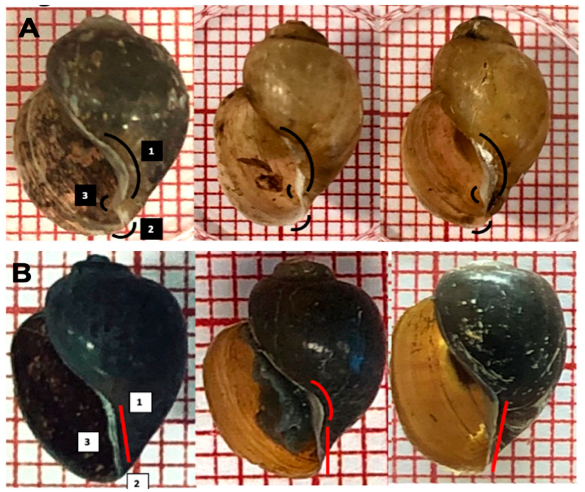 Tropicalmed 07 00195 g007 550