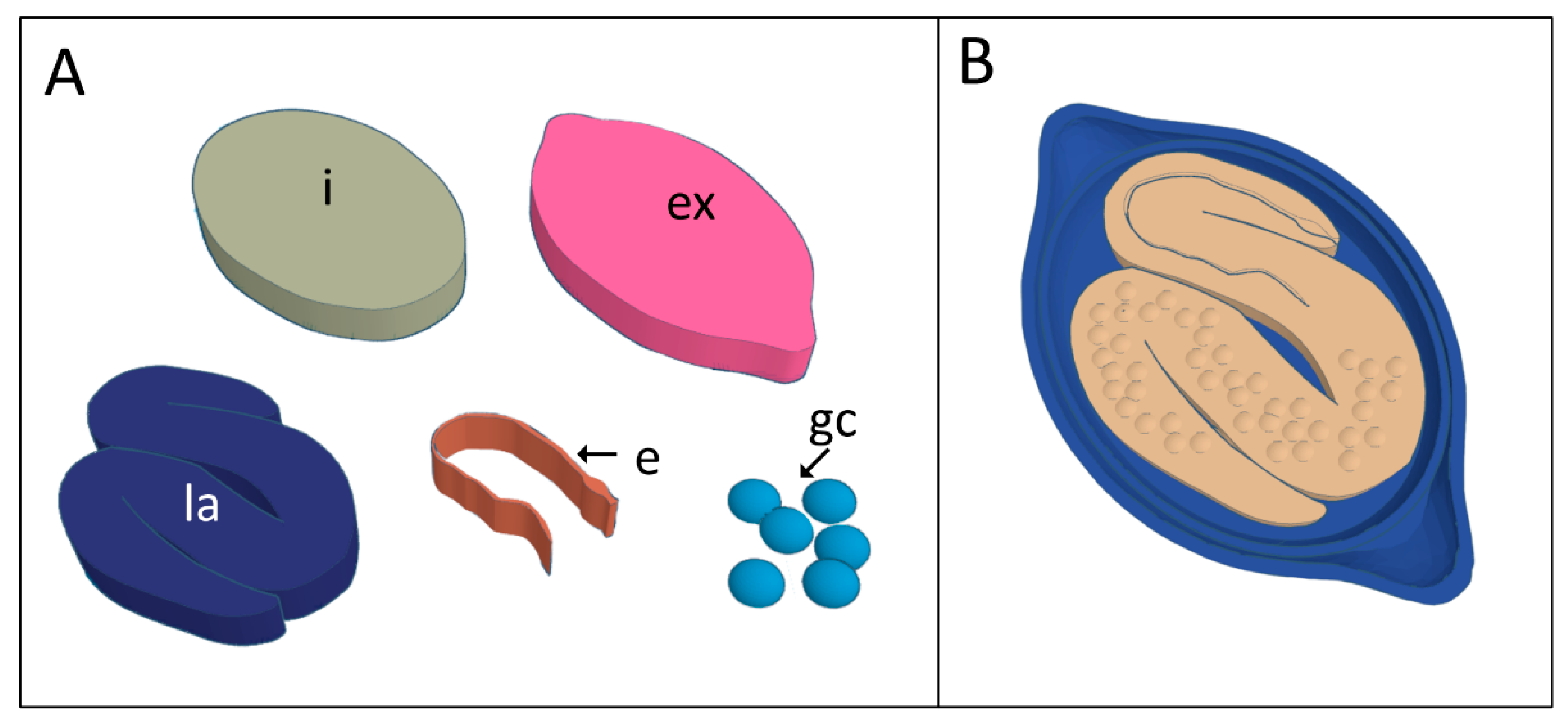 Tropicalmed 07 00216 g002