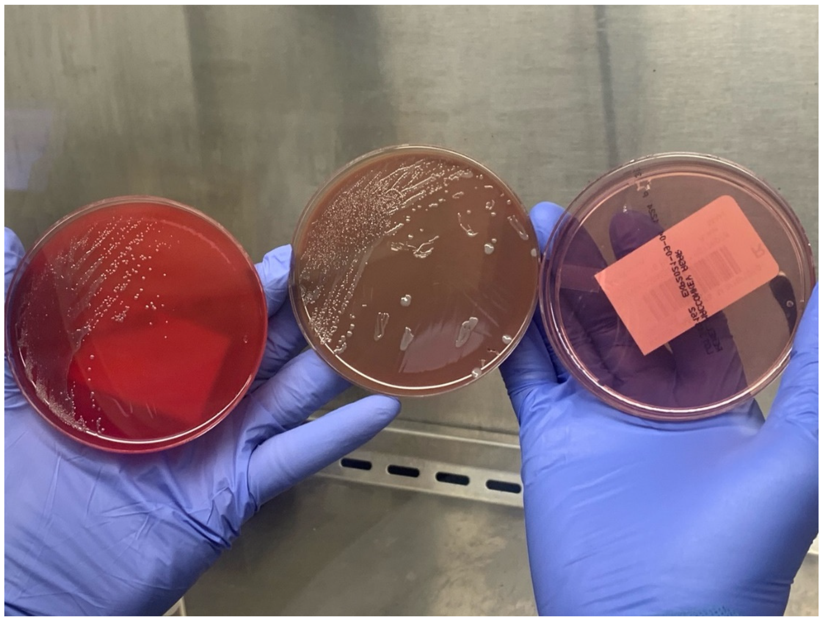 Tropicalmed 07 00220 g002