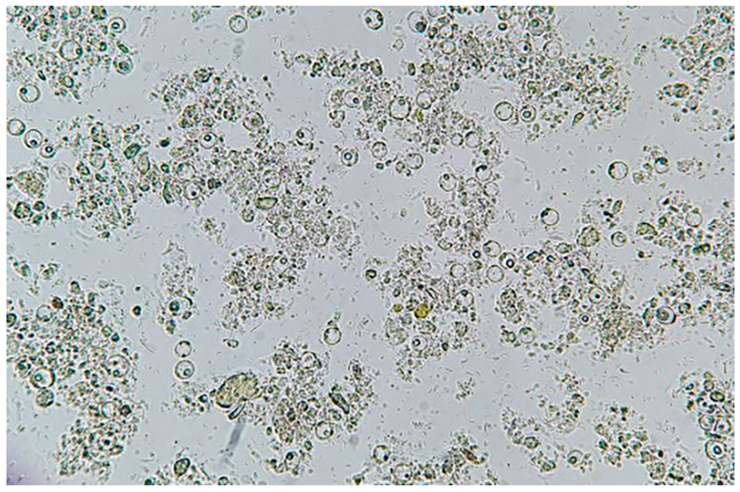 Tropicalmed 07 00226 g001 550