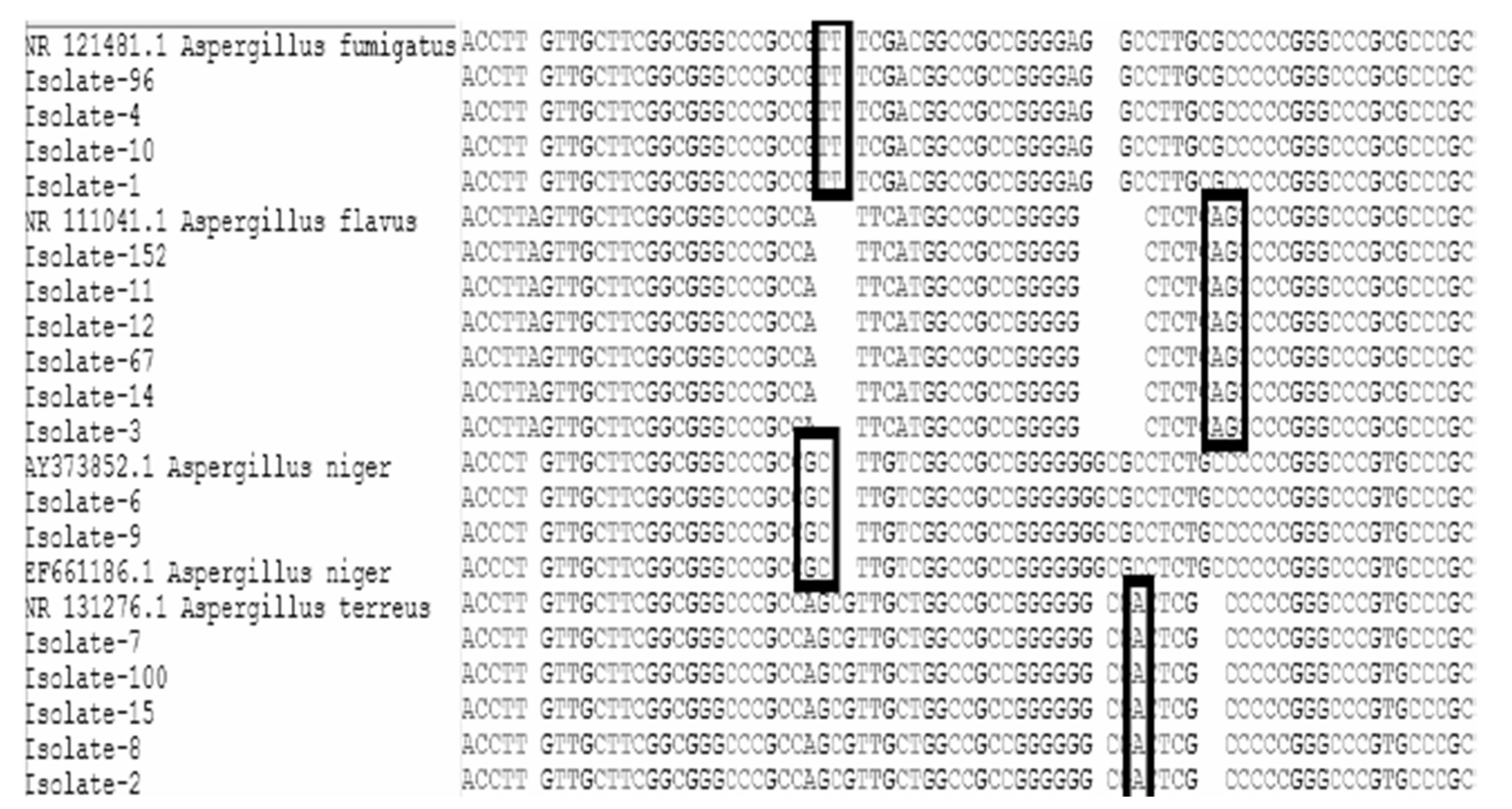 Tropicalmed 07 00274 g001