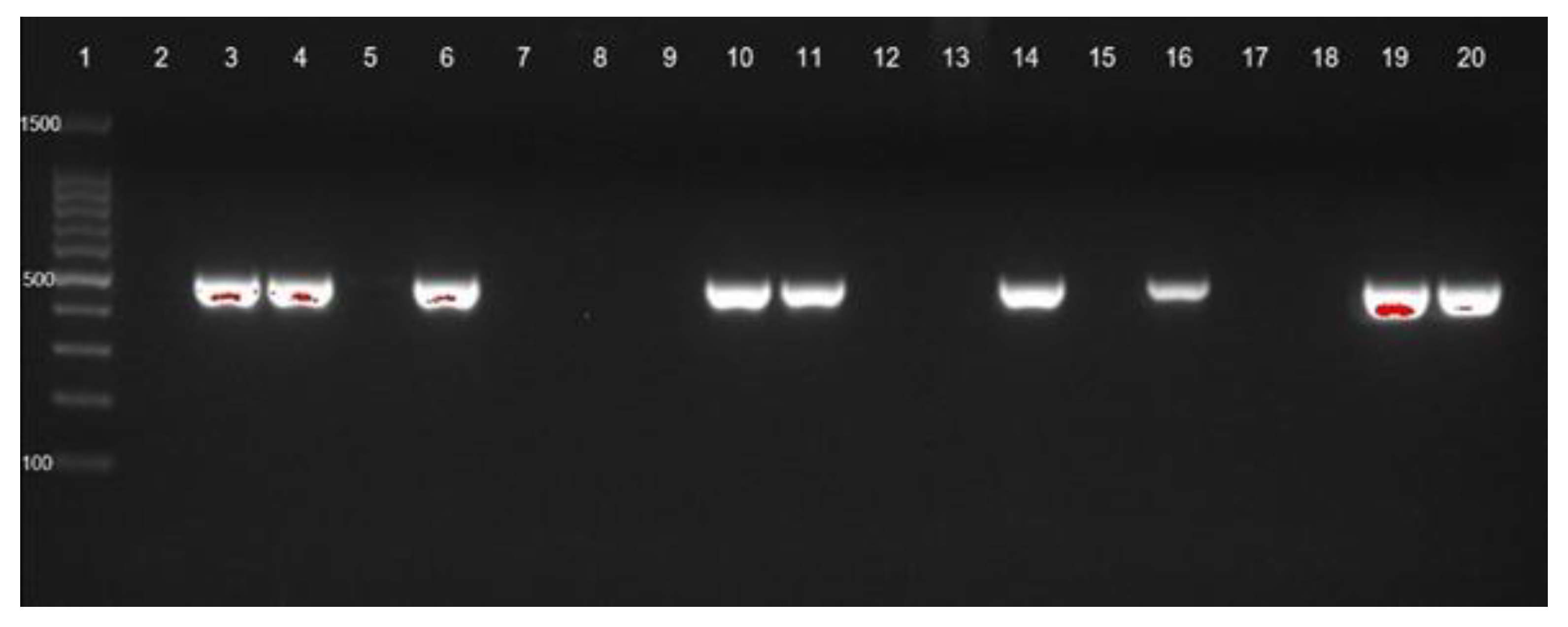 Tropicalmed 07 00277 g001