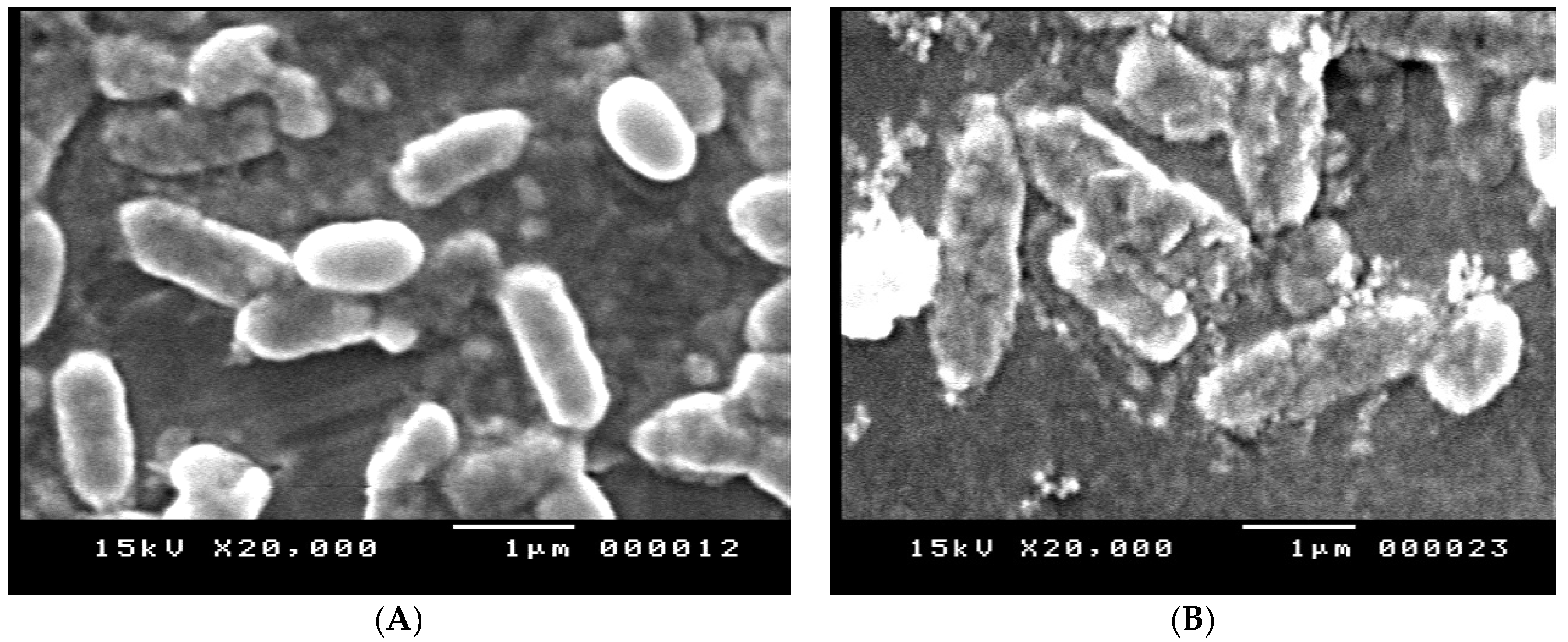 Tropicalmed 07 00281 g007a Tropicalmed 07 00281 g007a