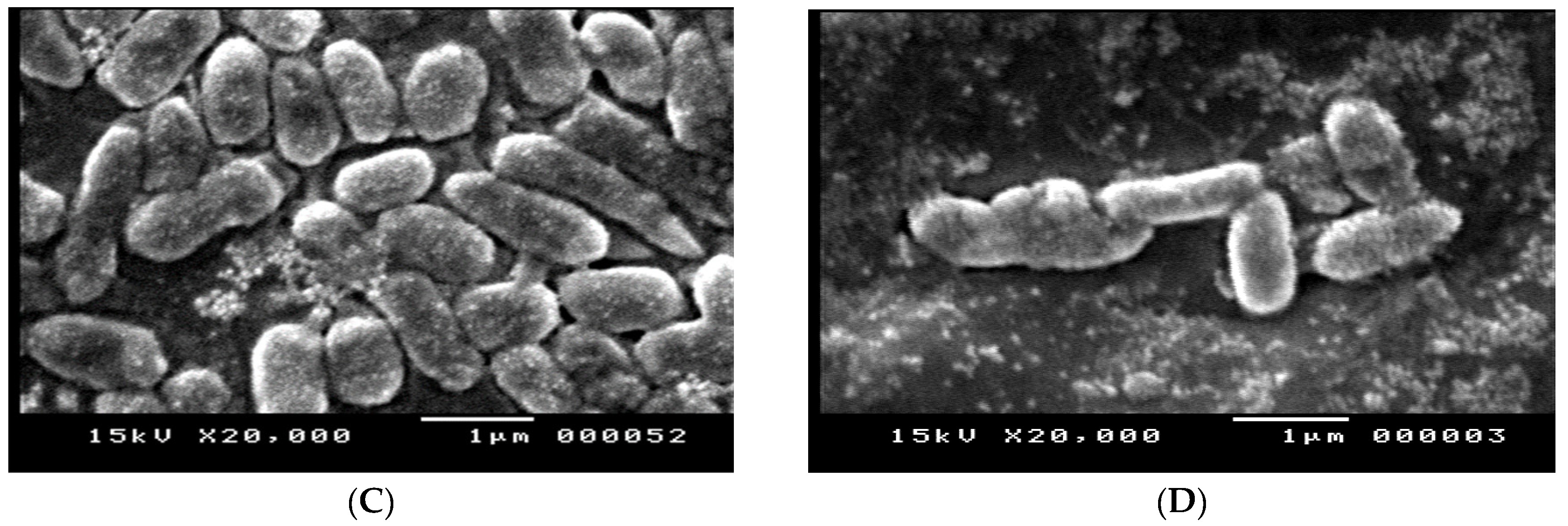 Tropicalmed 07 00281 g007b Tropicalmed 07 00281 g007b