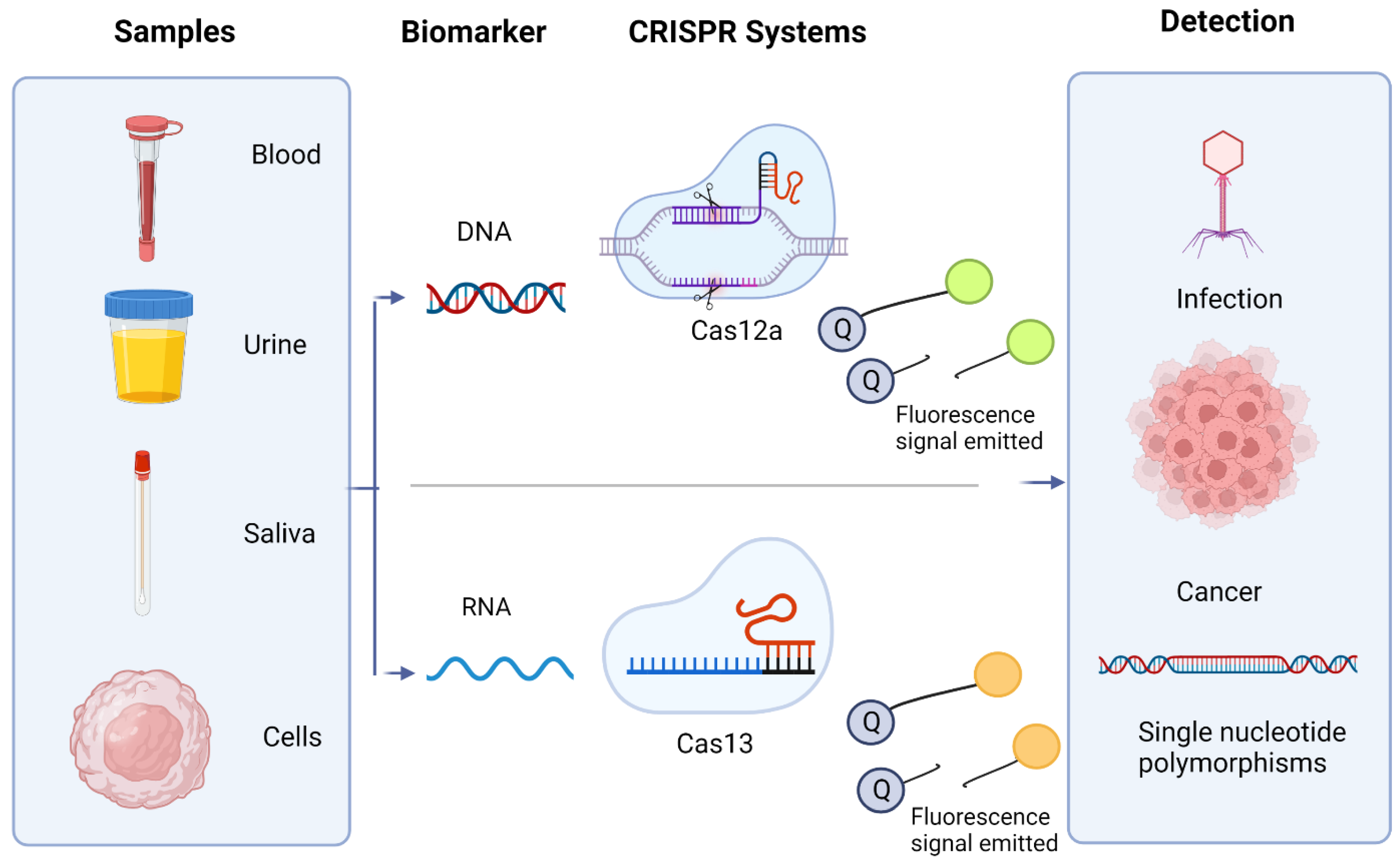 Tropicalmed 07 00309 g004