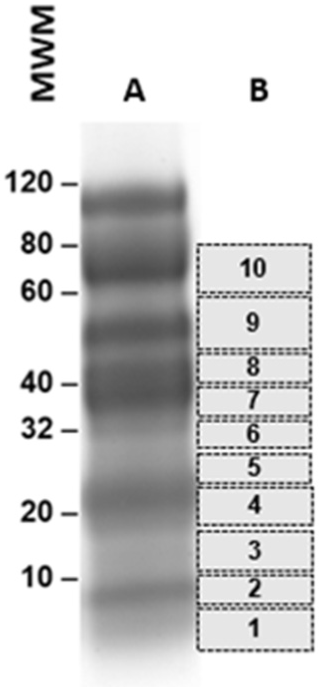 Tropicalmed 07 00314 g001