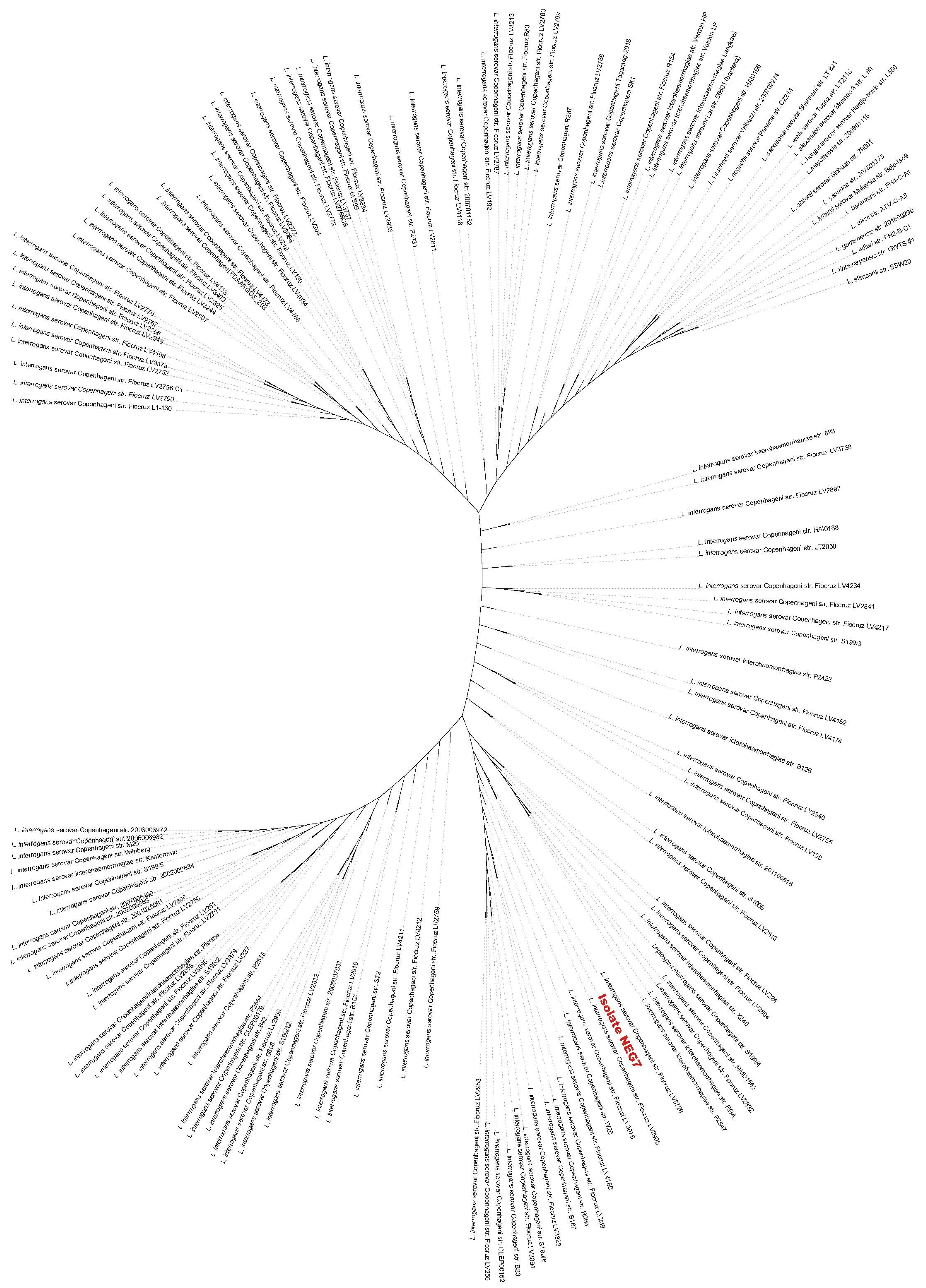 Tropicalmed 07 00333 g003