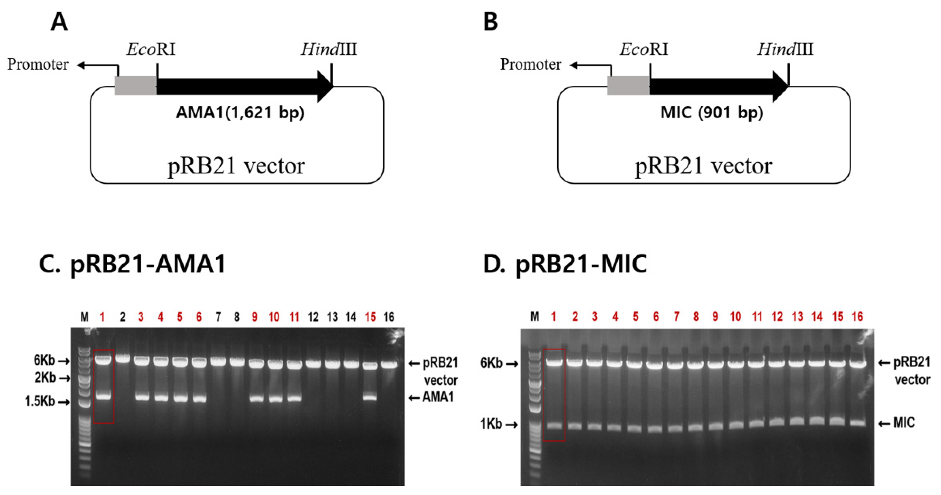 Tropicalmed 07 00350 g001