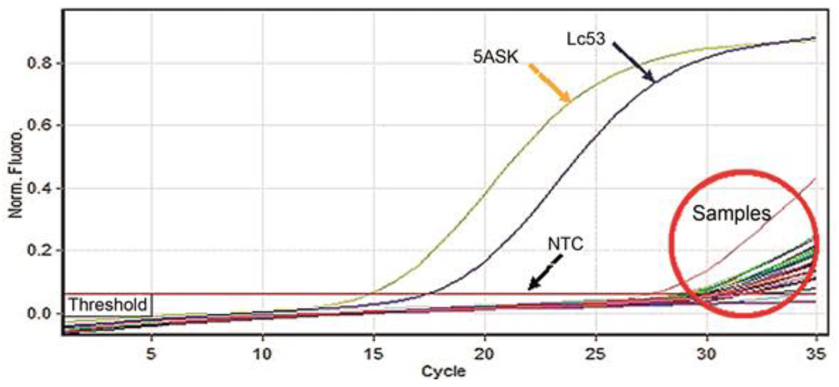 Tropicalmed 07 00358 g001 Tropicalmed 07 00358 g001