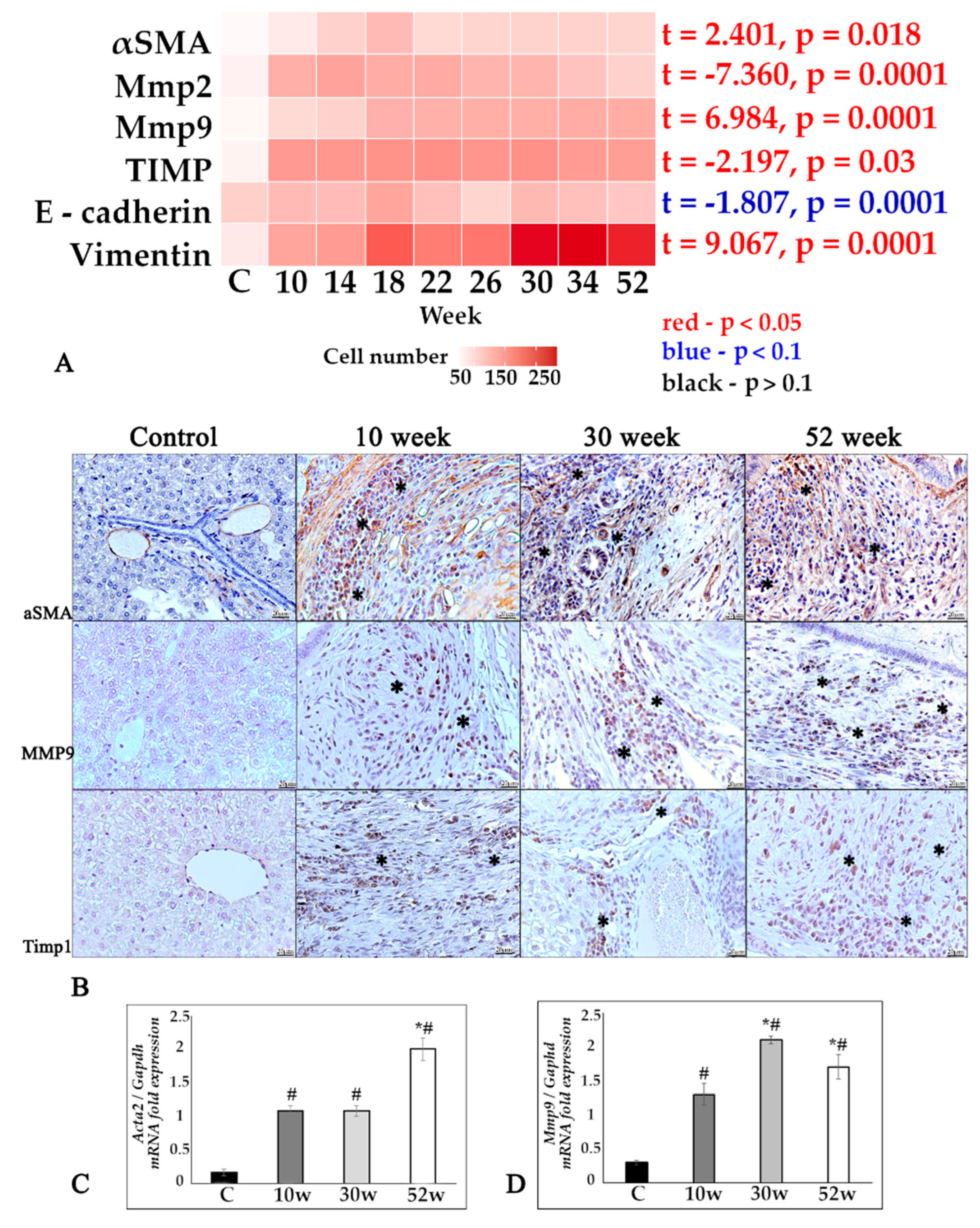 Tropicalmed 07 00364 g002 Tropicalmed 07 00364 g002
