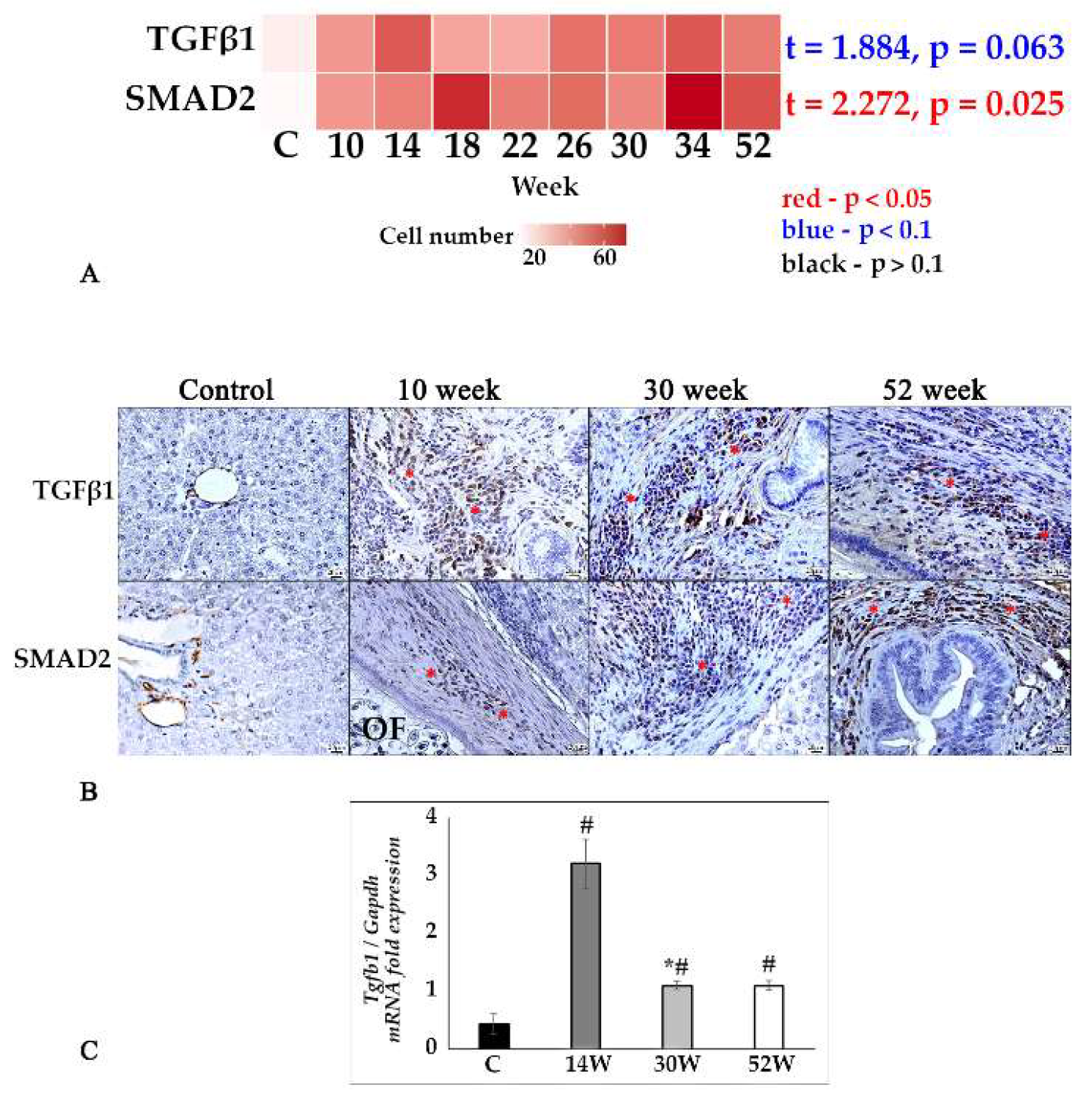 Tropicalmed 07 00364 g004 Tropicalmed 07 00364 g004