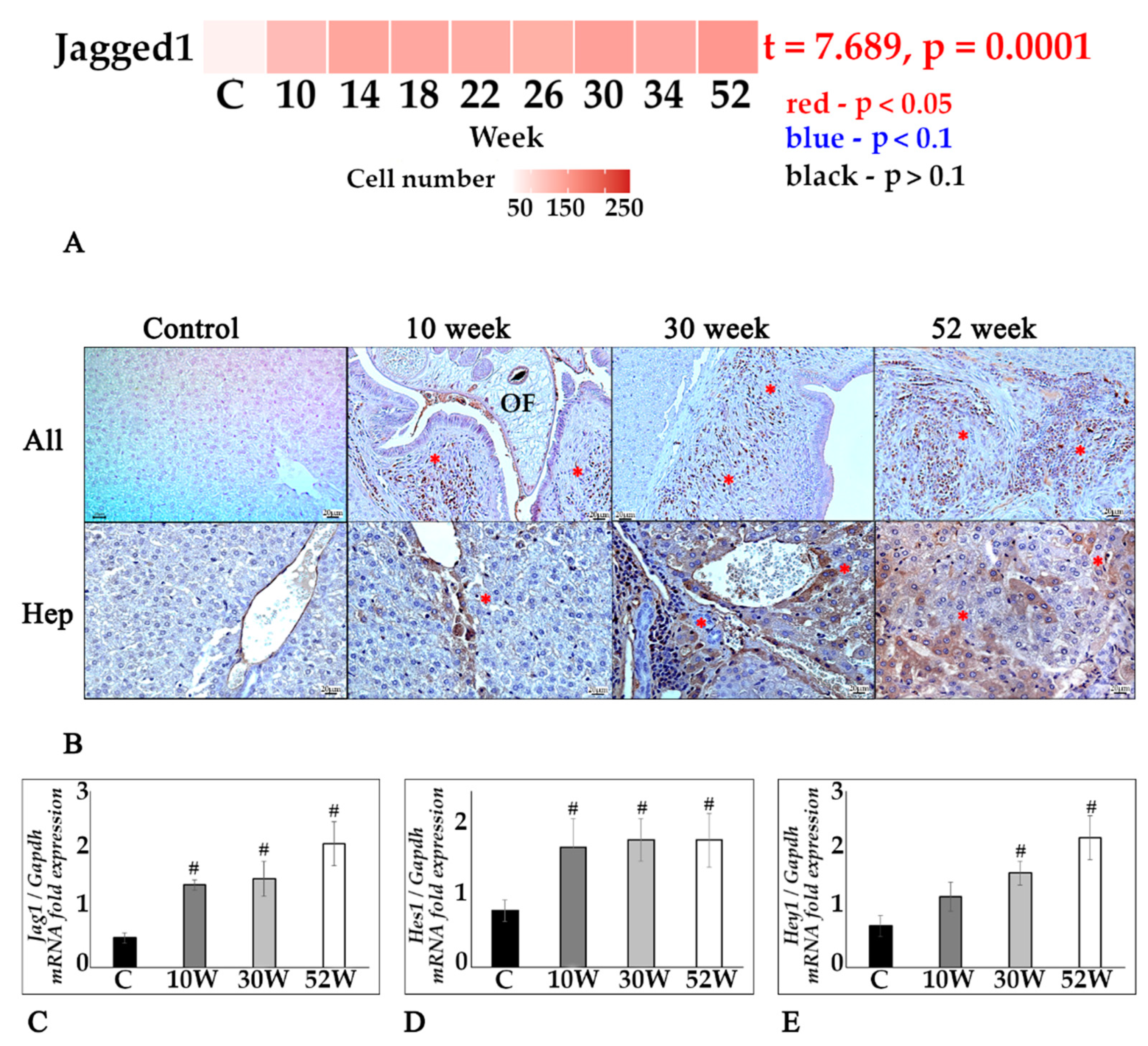 Tropicalmed 07 00364 g005 Tropicalmed 07 00364 g005